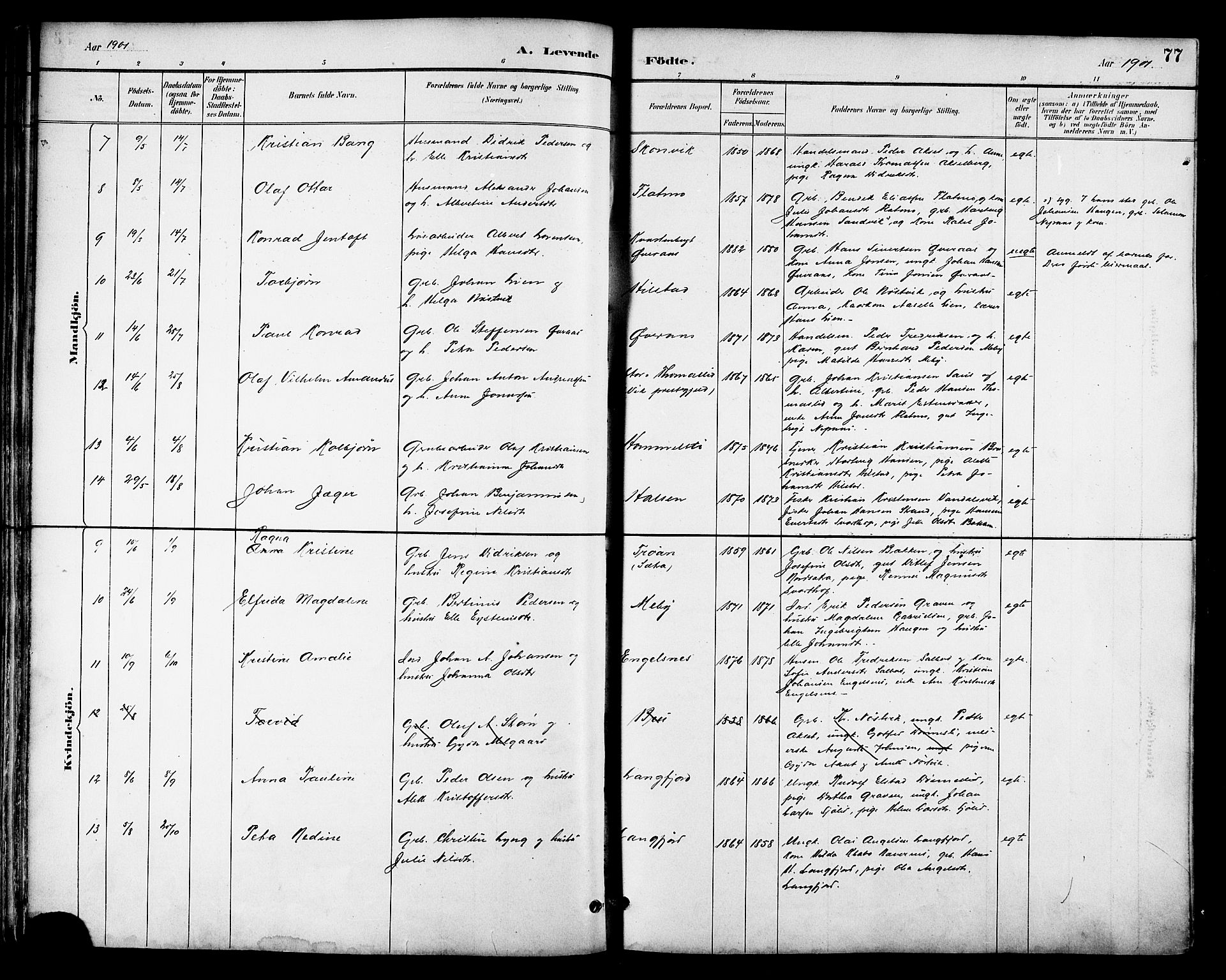 Ministerialprotokoller, klokkerbøker og fødselsregistre - Nordland, AV/SAT-A-1459/814/L0230: Parish register (copy) no. 814C03, 1884-1911, p. 77