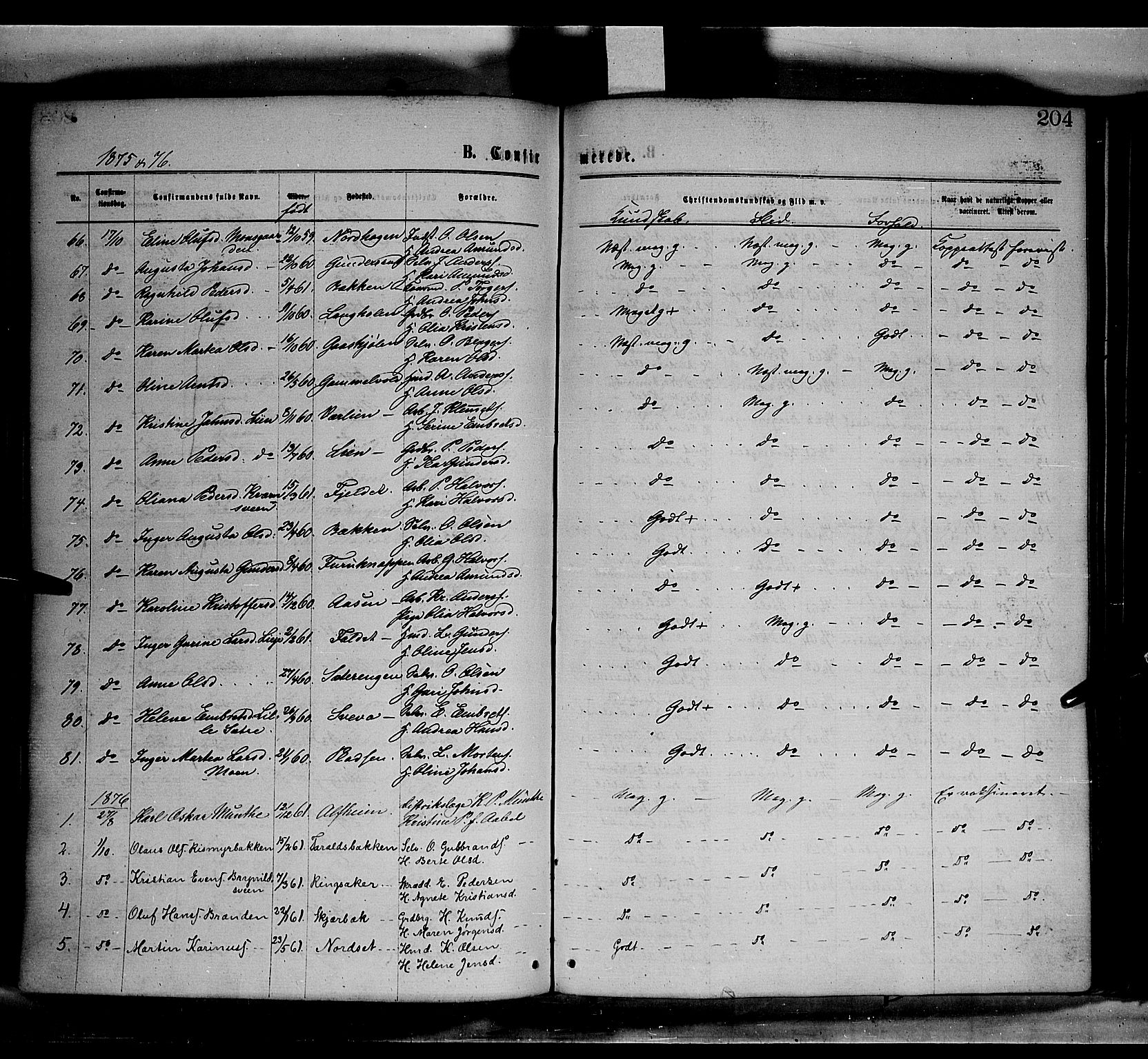 Elverum prestekontor, SAH/PREST-044/H/Ha/Haa/L0011: Parish register (official) no. 11, 1869-1879, p. 204