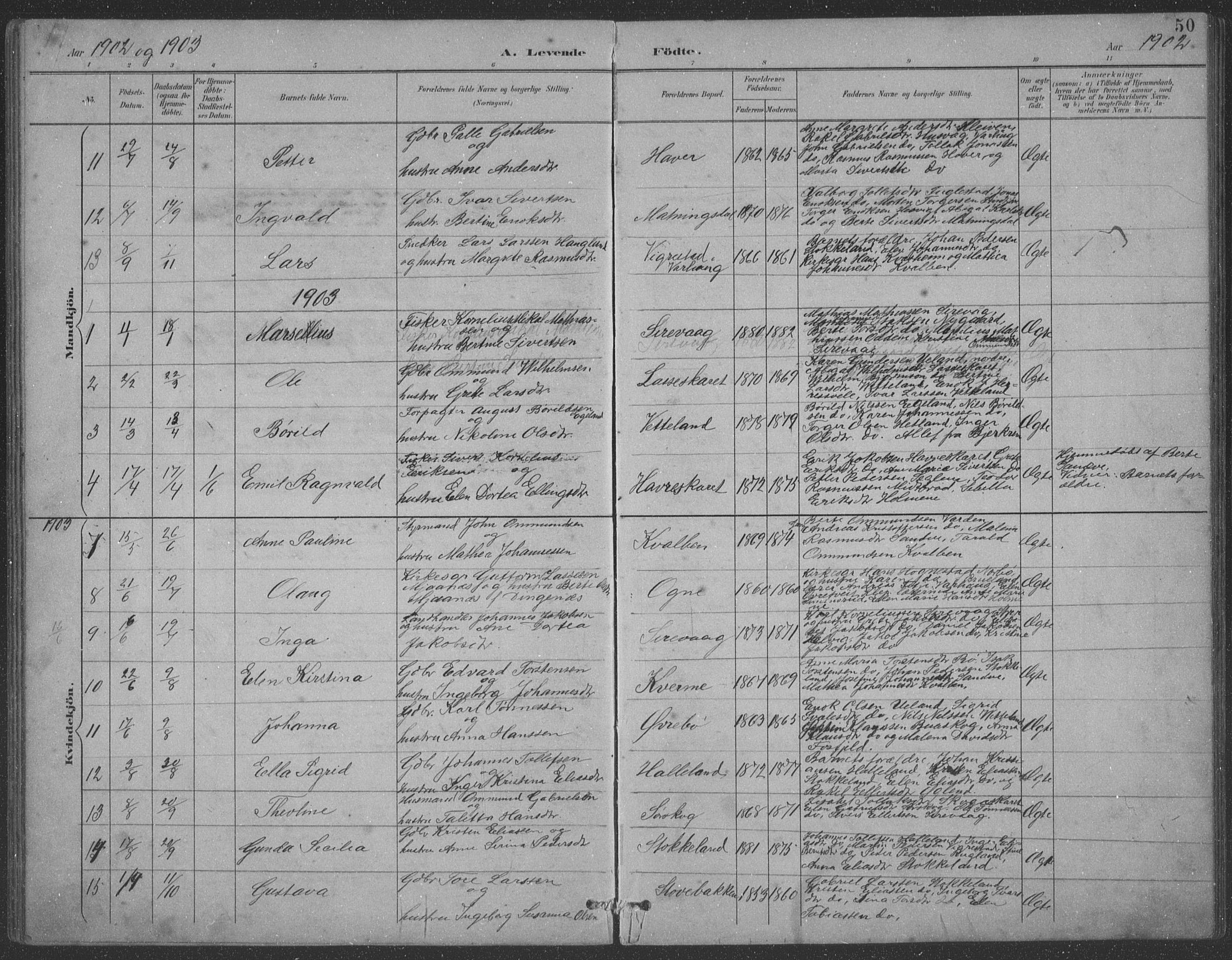 Eigersund sokneprestkontor, SAST/A-101807/S09: Parish register (copy) no. B 21, 1890-1915, p. 50