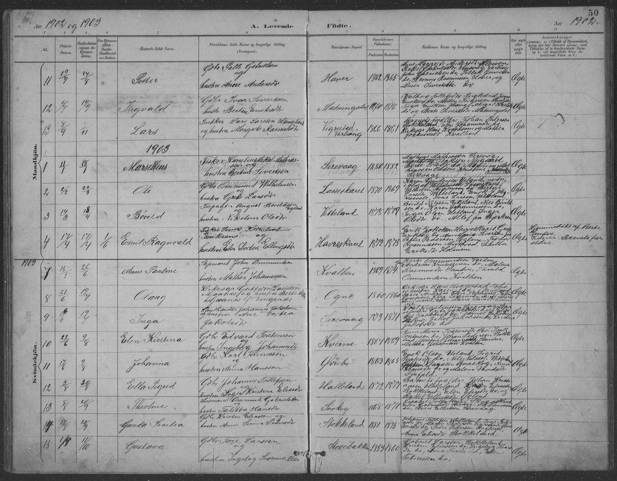 Eigersund sokneprestkontor, AV/SAST-A-101807/S09: Parish register (copy) no. B 21, 1890-1915, p. 50