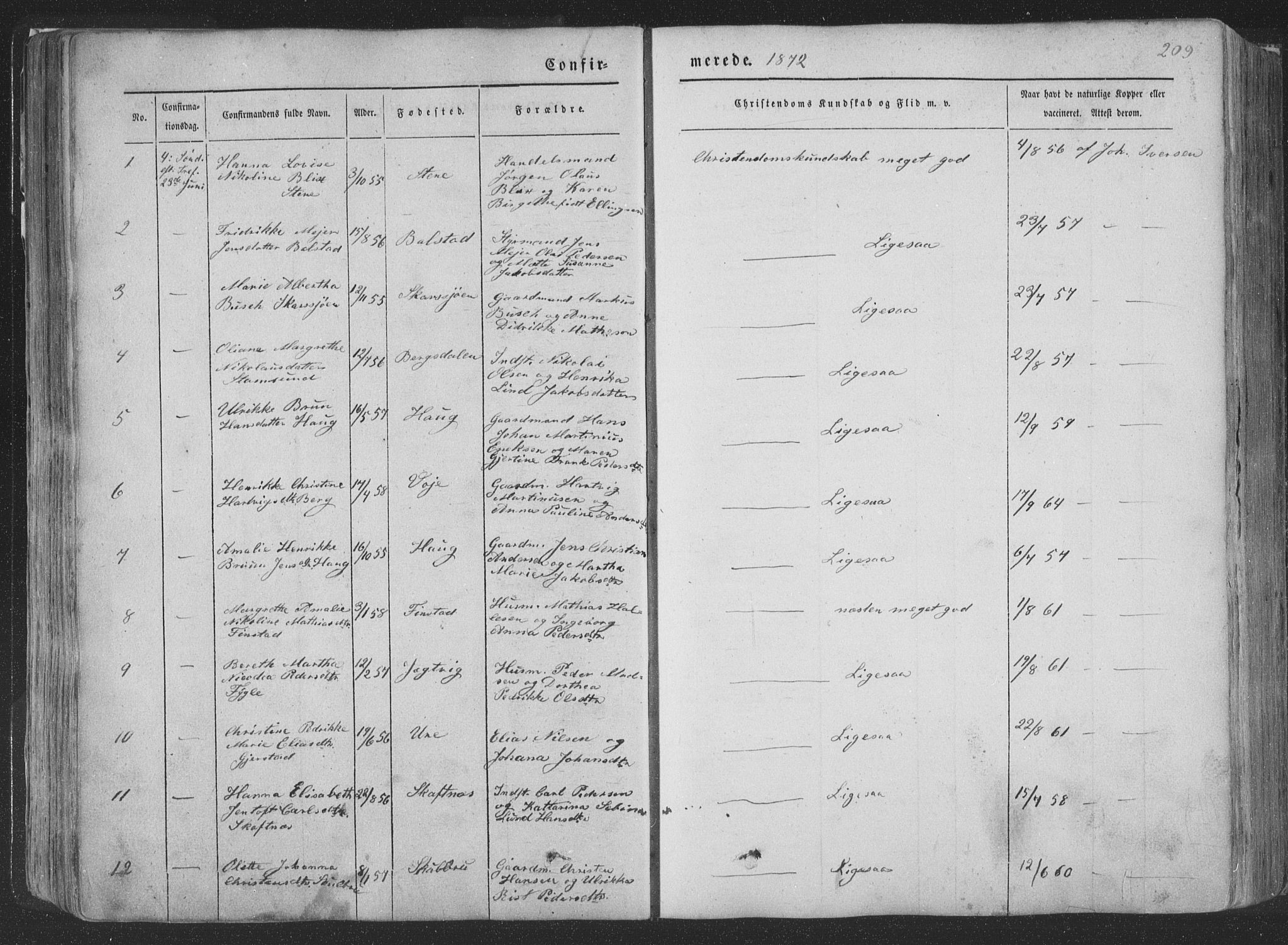 Ministerialprotokoller, klokkerbøker og fødselsregistre - Nordland, SAT/A-1459/881/L1165: Parish register (copy) no. 881C02, 1854-1876, p. 209