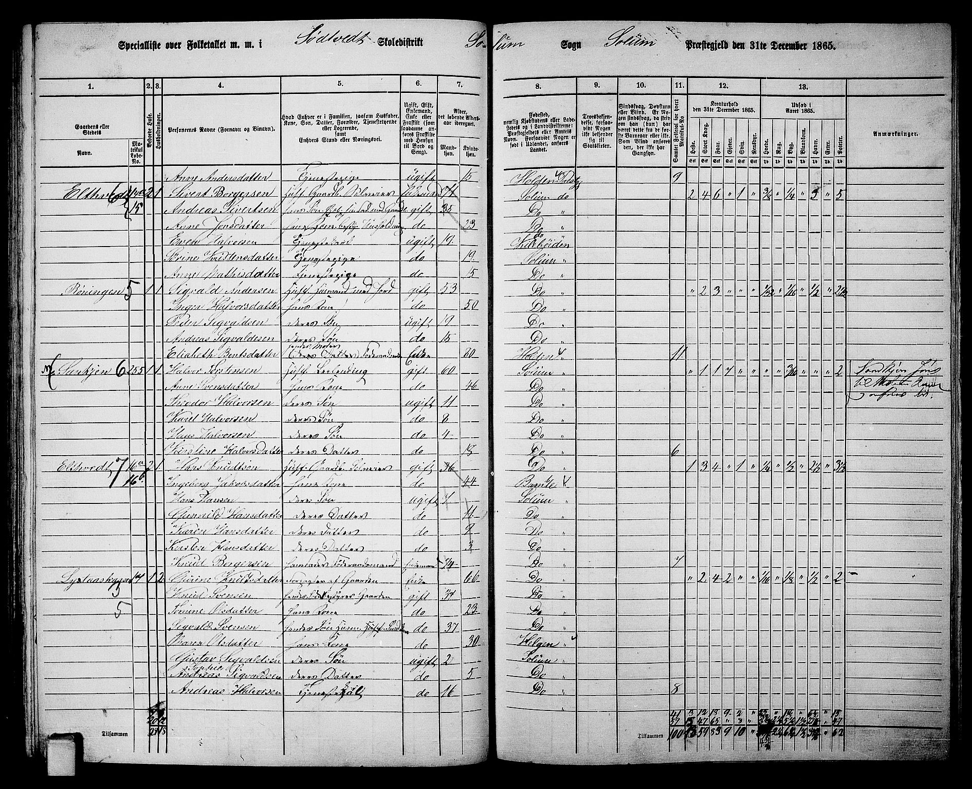 RA, 1865 census for Solum, 1865, p. 119