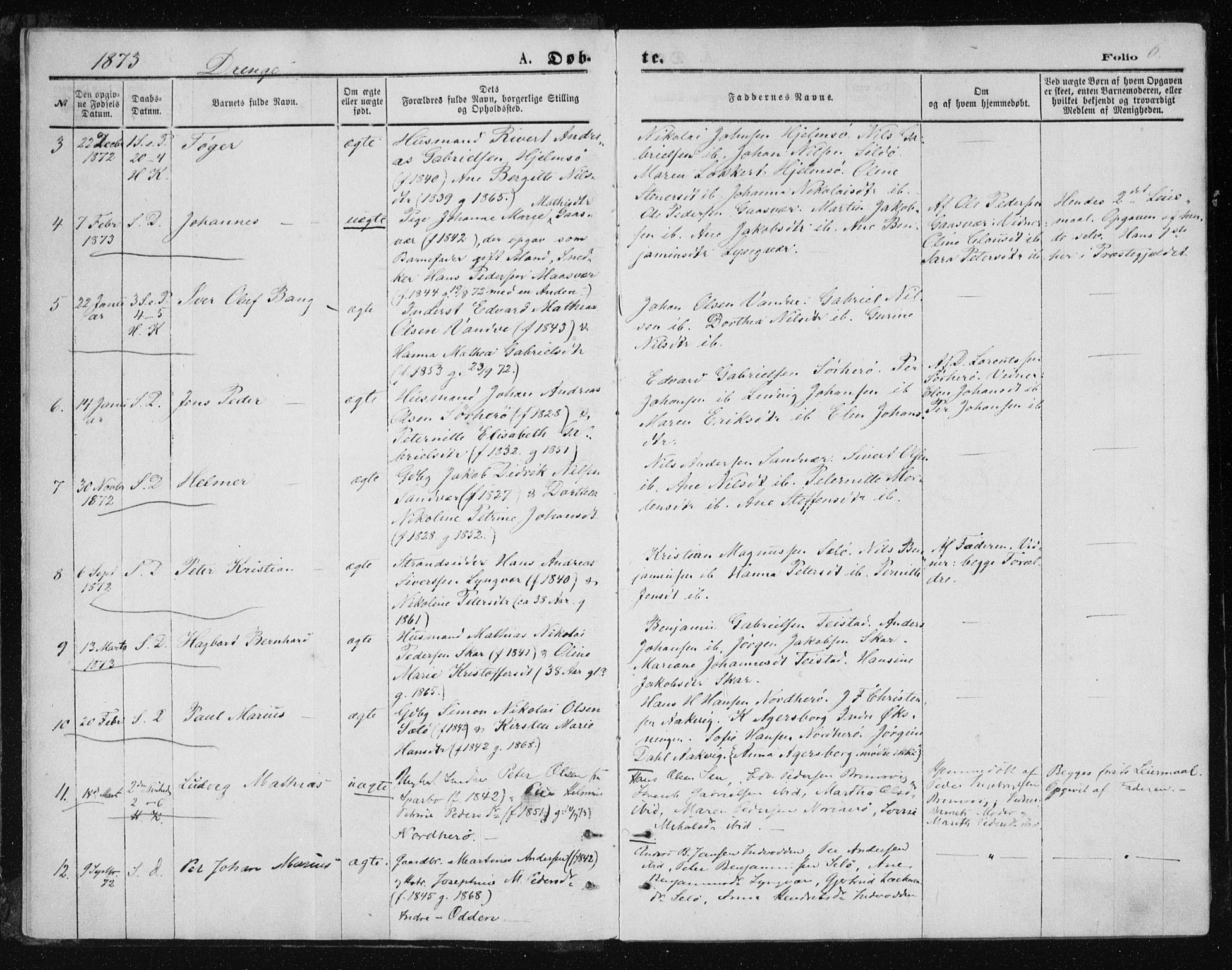 Ministerialprotokoller, klokkerbøker og fødselsregistre - Nordland, AV/SAT-A-1459/834/L0506: Parish register (official) no. 834A04, 1872-1878, p. 6