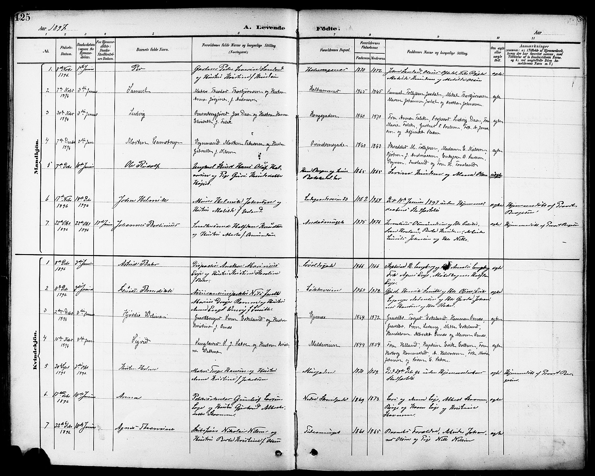 Domkirken sokneprestkontor, SAST/A-101812/001/30/30BB/L0016: Parish register (copy) no. B 16, 1891-1902, p. 125
