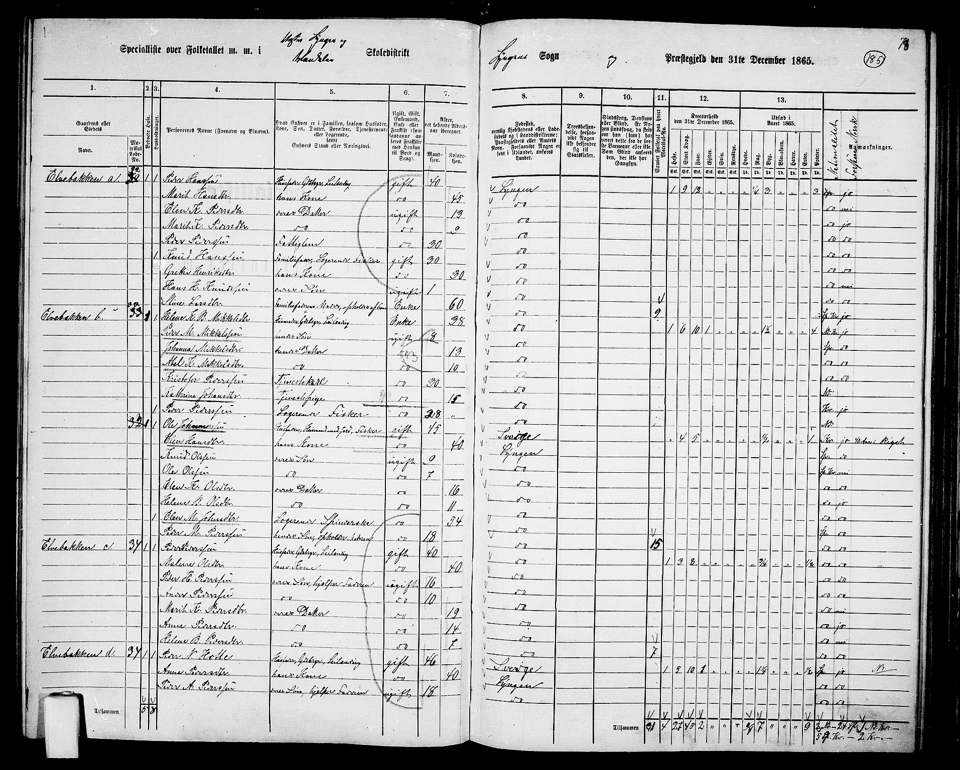 RA, 1865 census for Lyngen, 1865, p. 20