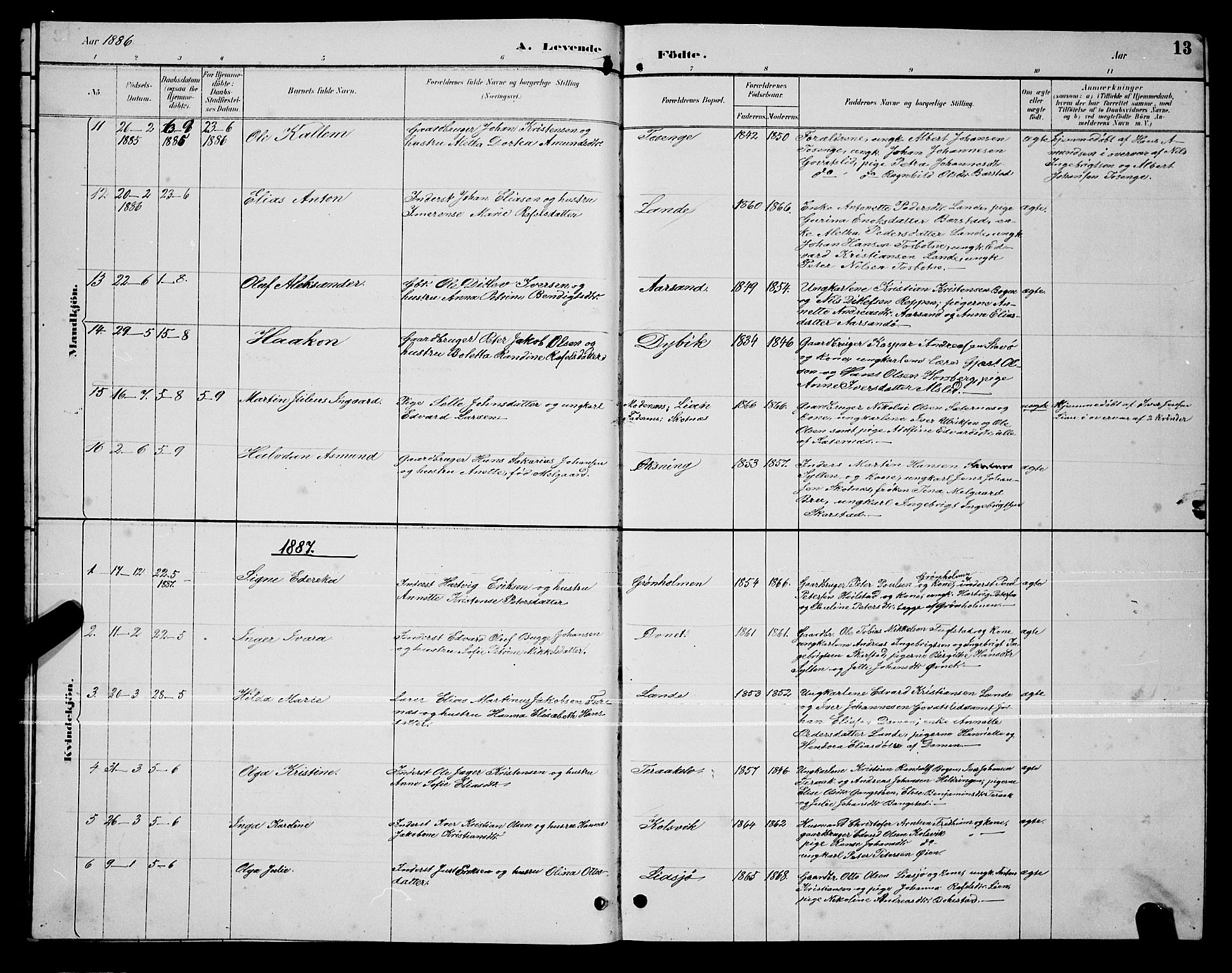 Ministerialprotokoller, klokkerbøker og fødselsregistre - Nordland, AV/SAT-A-1459/810/L0160: Parish register (copy) no. 810C03, 1884-1896, p. 13