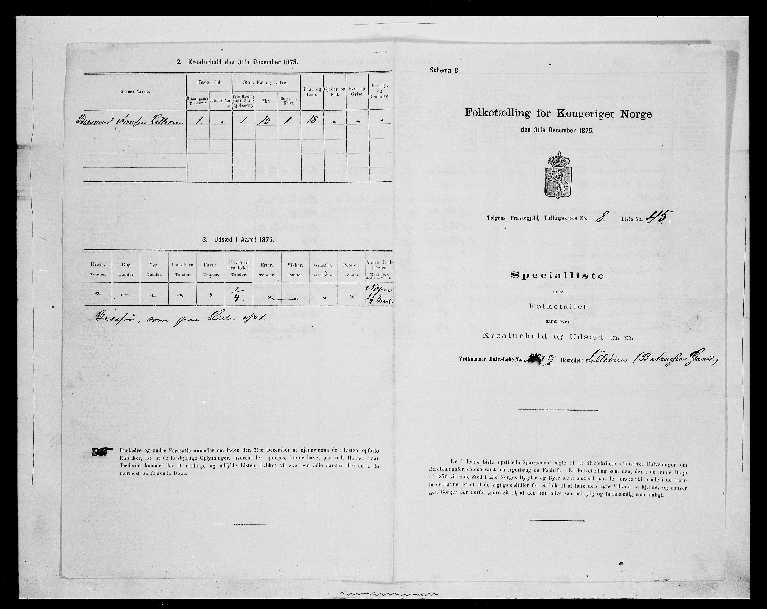 SAH, 1875 census for 0436P Tolga, 1875, p. 876