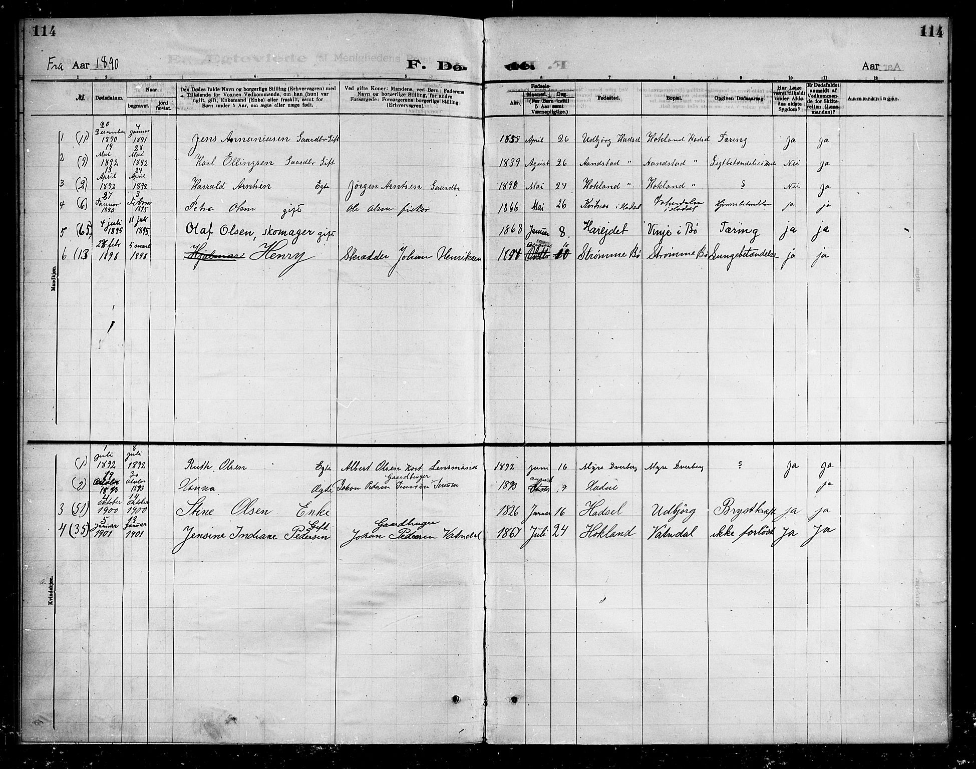 Ministerialprotokoller, klokkerbøker og fødselsregistre - Nordland, AV/SAT-A-1459/888/L1274: Dissenter register no. 888D01, 1889-1902, p. 114