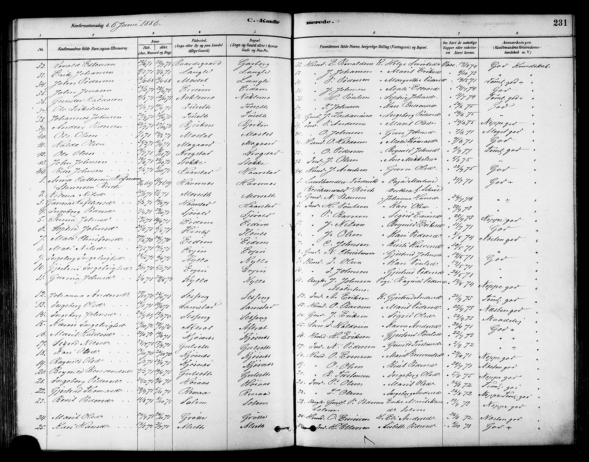 Ministerialprotokoller, klokkerbøker og fødselsregistre - Sør-Trøndelag, SAT/A-1456/695/L1148: Parish register (official) no. 695A08, 1878-1891, p. 231