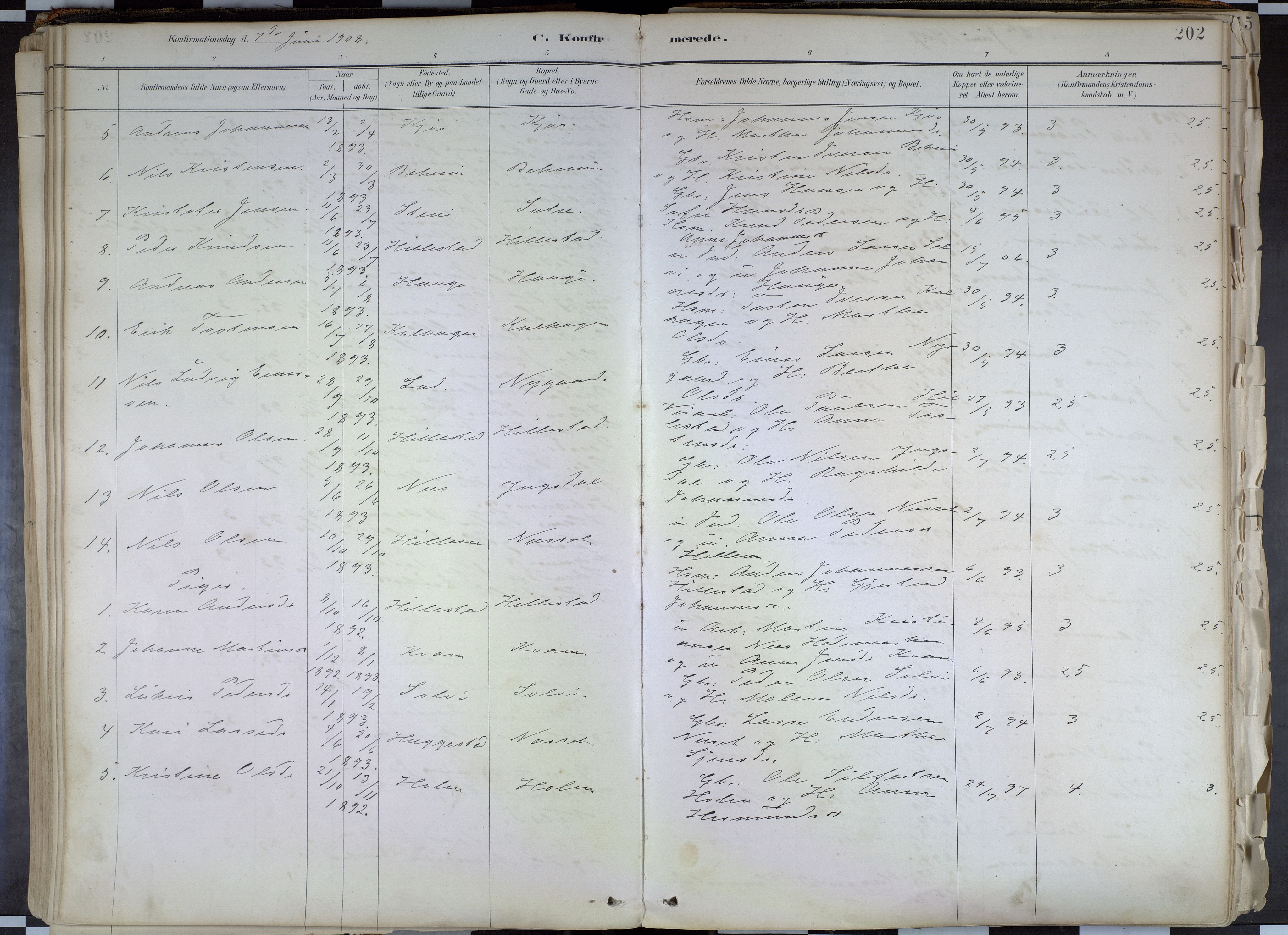 Hafslo sokneprestembete, AV/SAB-A-80301/H/Haa/Haab/L0001: Parish register (official) no. B 1, 1886-1945, p. 202