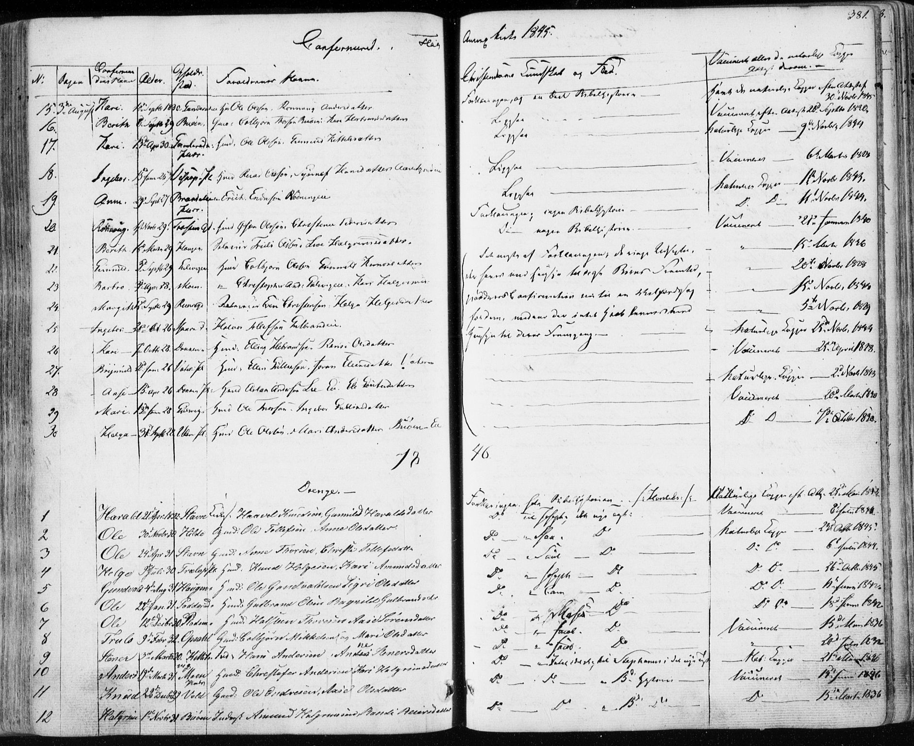 Nes kirkebøker, AV/SAKO-A-236/F/Fa/L0009: Parish register (official) no. 9, 1834-1863, p. 381