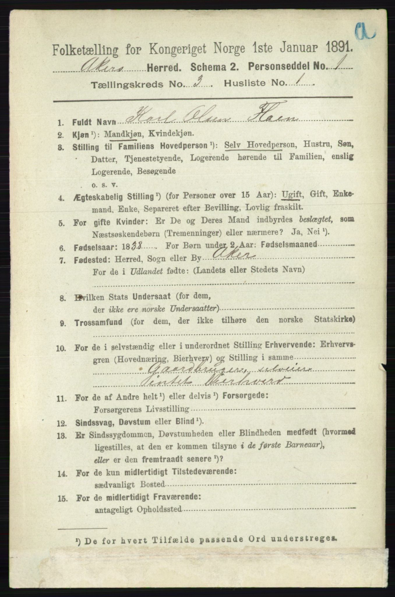 RA, 1891 census for 0218 Aker, 1891, p. 2929