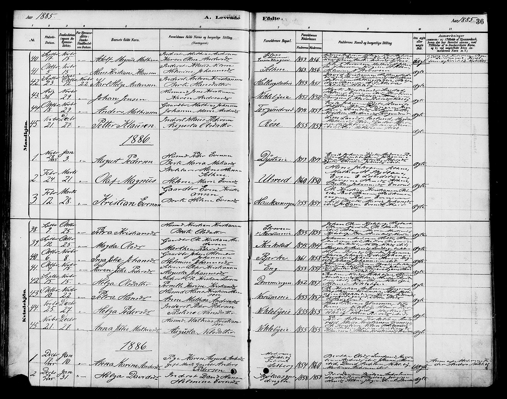 Vestre Toten prestekontor, SAH/PREST-108/H/Ha/Haa/L0010: Parish register (official) no. 10, 1878-1894, p. 36