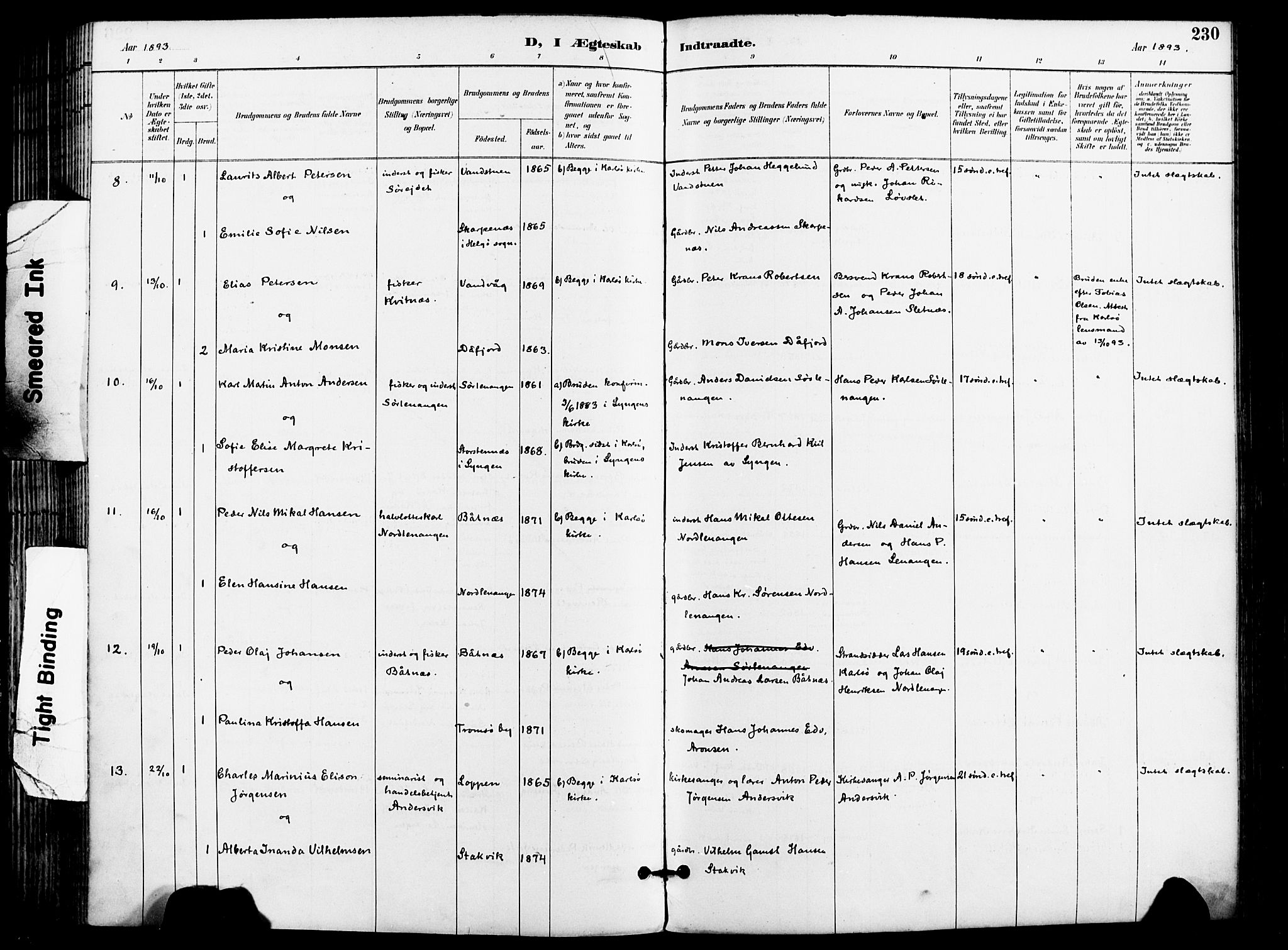 Karlsøy sokneprestembete, AV/SATØ-S-1299/H/Ha/Haa/L0007kirke: Parish register (official) no. 7, 1891-1902, p. 230