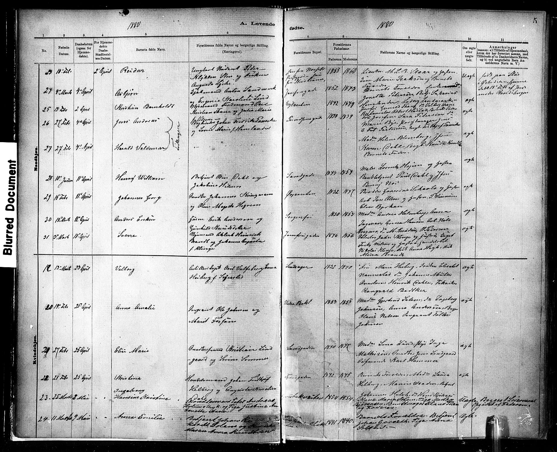 Ministerialprotokoller, klokkerbøker og fødselsregistre - Sør-Trøndelag, AV/SAT-A-1456/602/L0119: Parish register (official) no. 602A17, 1880-1901, p. 5