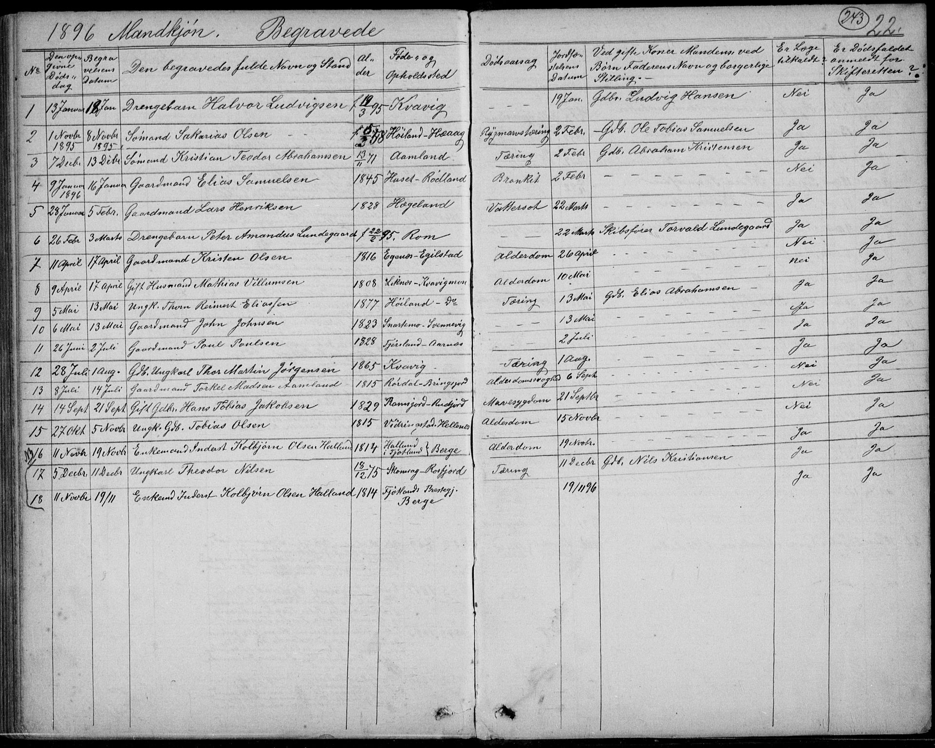 Lyngdal sokneprestkontor, AV/SAK-1111-0029/F/Fb/Fbc/L0004: Parish register (copy) no. B 4, 1878-1896, p. 243