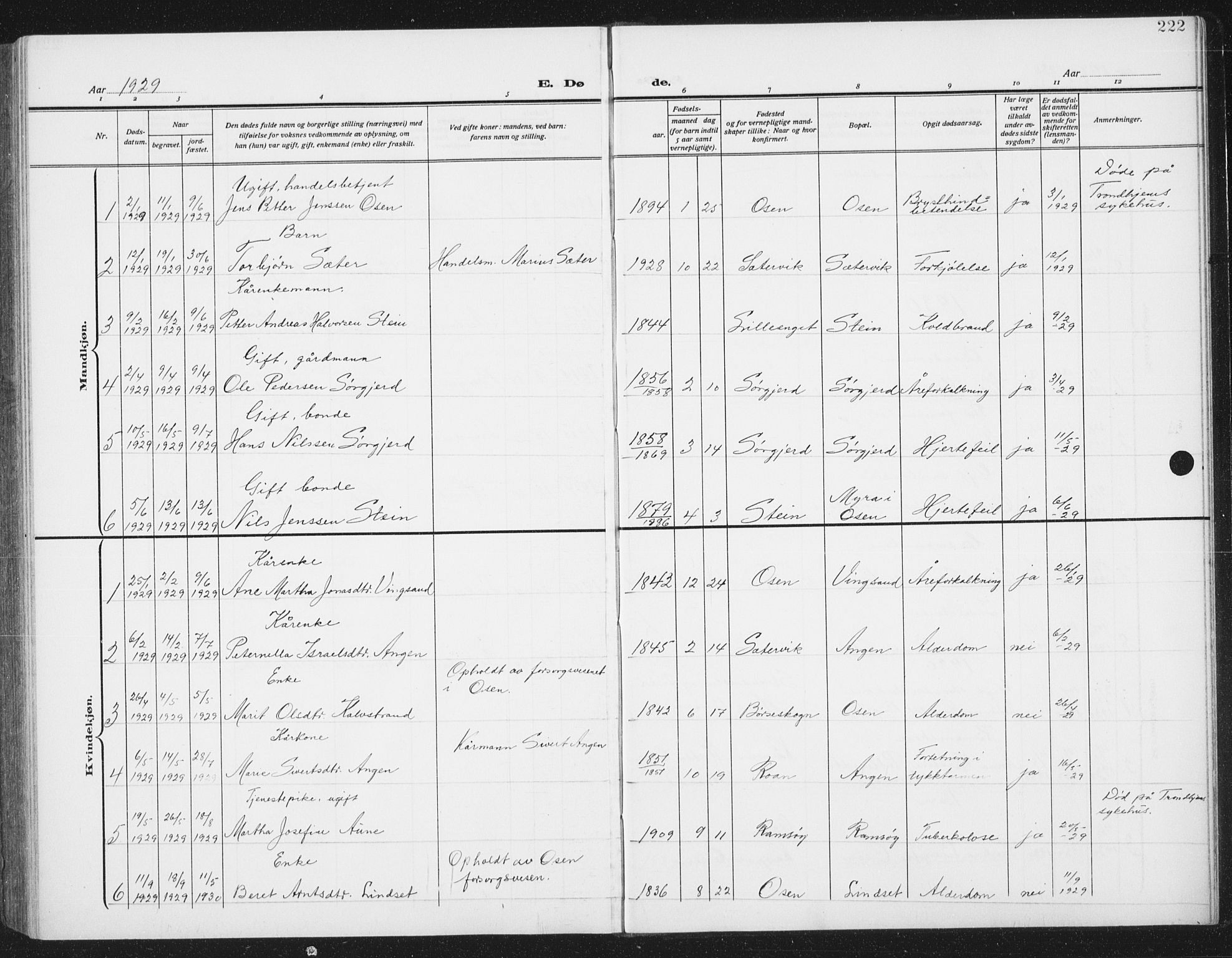Ministerialprotokoller, klokkerbøker og fødselsregistre - Sør-Trøndelag, SAT/A-1456/658/L0727: Parish register (copy) no. 658C03, 1909-1935, p. 222