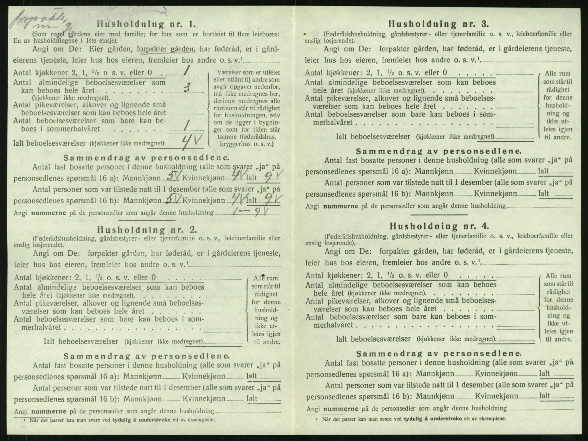 SAT, 1920 census for Røra, 1920, p. 46