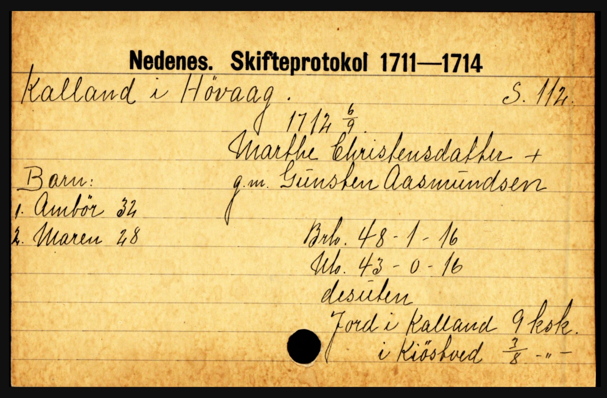 Nedenes sorenskriveri før 1824, AV/SAK-1221-0007/H, p. 14427