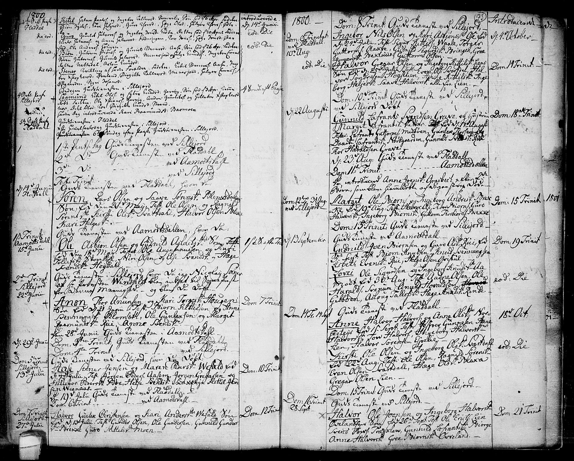 Seljord kirkebøker, SAKO/A-20/F/Fa/L0007: Parish register (official) no. I 7, 1755-1800, p. 173