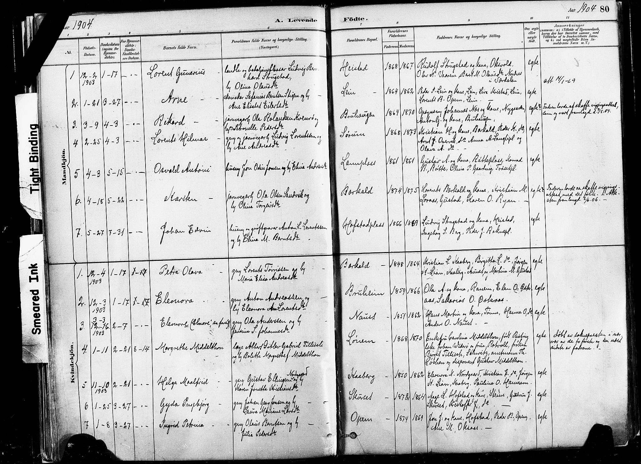 Ministerialprotokoller, klokkerbøker og fødselsregistre - Nord-Trøndelag, SAT/A-1458/735/L0351: Parish register (official) no. 735A10, 1884-1908, p. 80