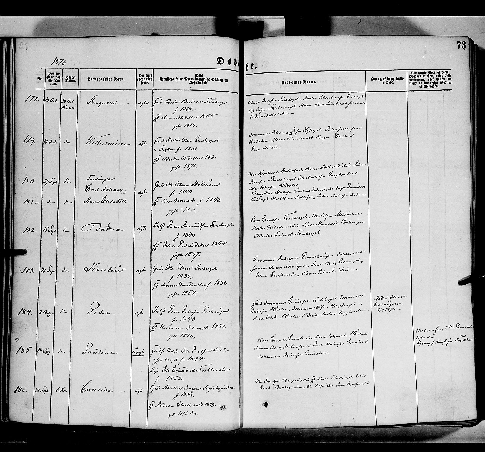 Grue prestekontor, AV/SAH-PREST-036/H/Ha/Haa/L0011: Parish register (official) no. 11, 1873-1880, p. 73