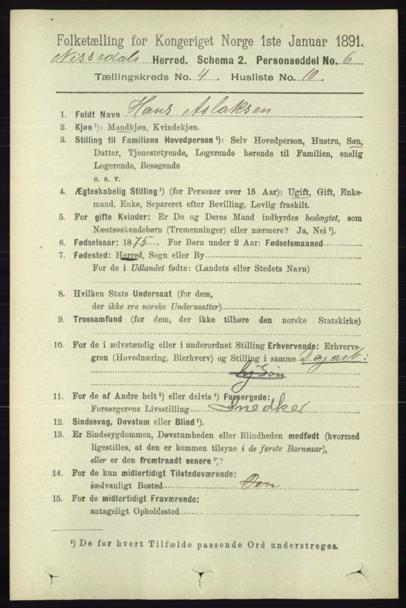 RA, 1891 census for 0830 Nissedal, 1891, p. 917