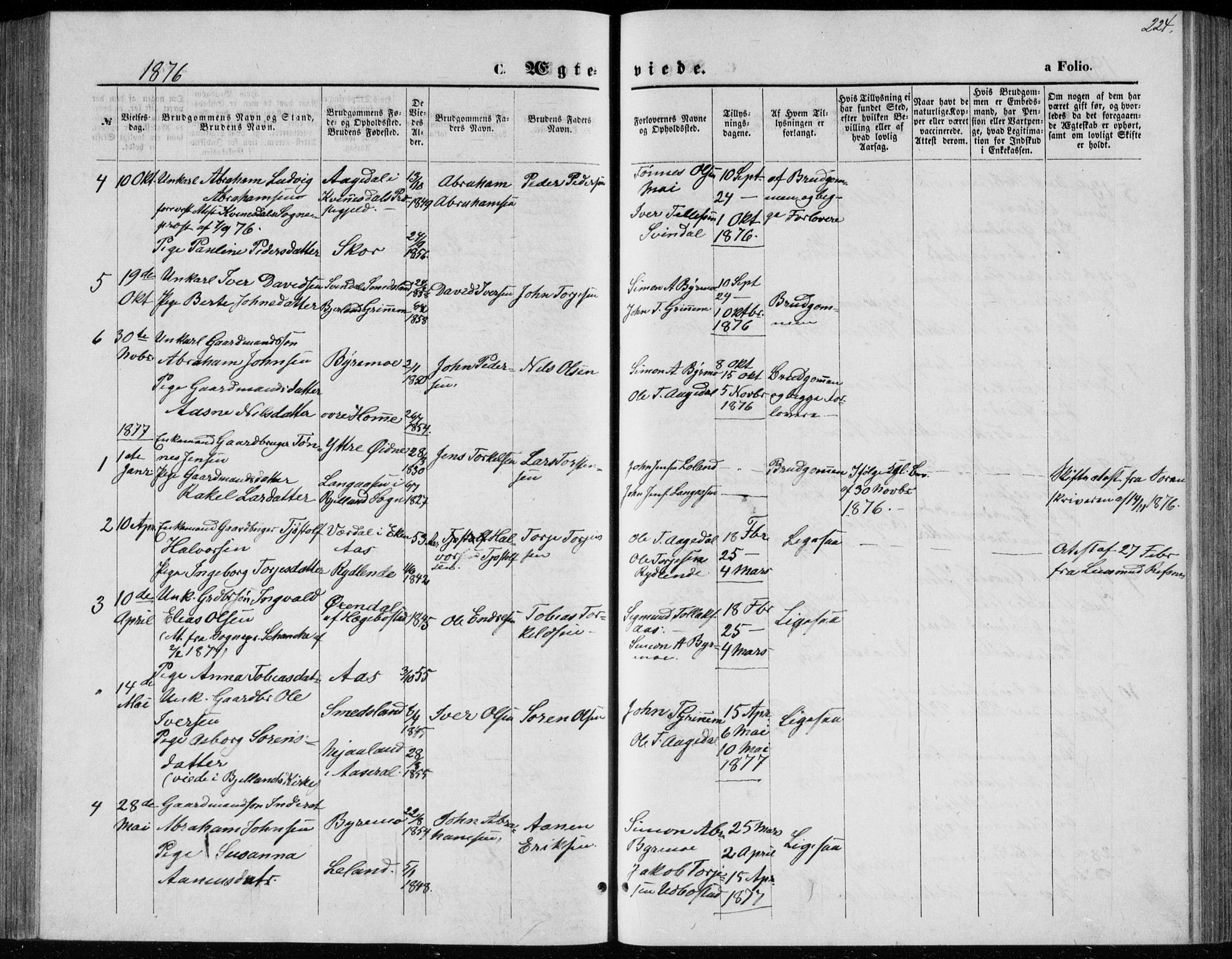 Bjelland sokneprestkontor, SAK/1111-0005/F/Fb/Fbc/L0002: Parish register (copy) no. B 2, 1867-1887, p. 224
