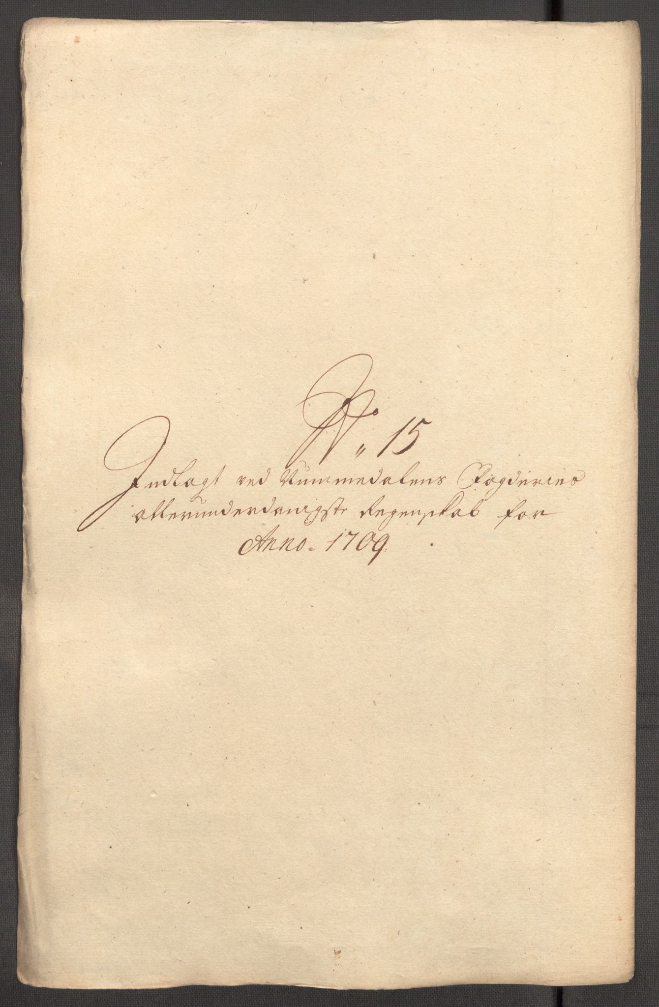 Rentekammeret inntil 1814, Reviderte regnskaper, Fogderegnskap, AV/RA-EA-4092/R64/L4431: Fogderegnskap Namdal, 1709-1710, p. 155