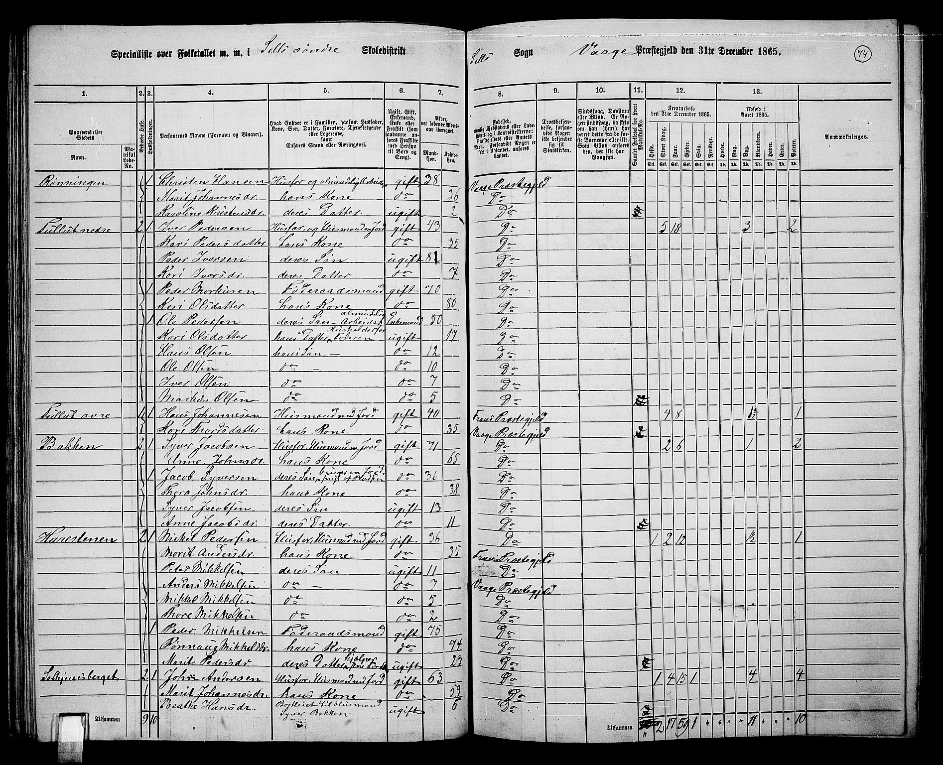 RA, 1865 census for Vågå, 1865, p. 234