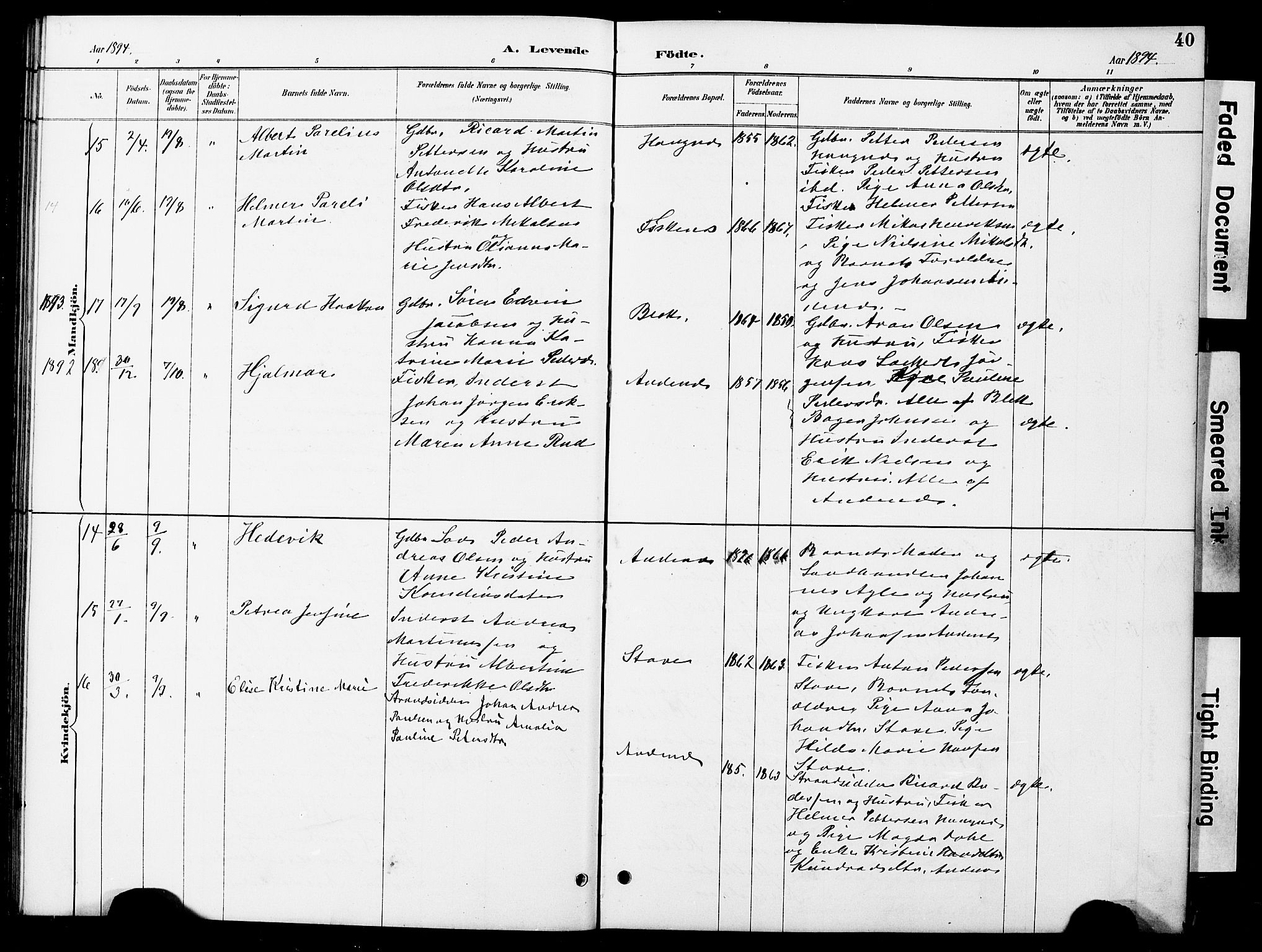 Ministerialprotokoller, klokkerbøker og fødselsregistre - Nordland, AV/SAT-A-1459/899/L1448: Parish register (copy) no. 899C03, 1887-1902, p. 40