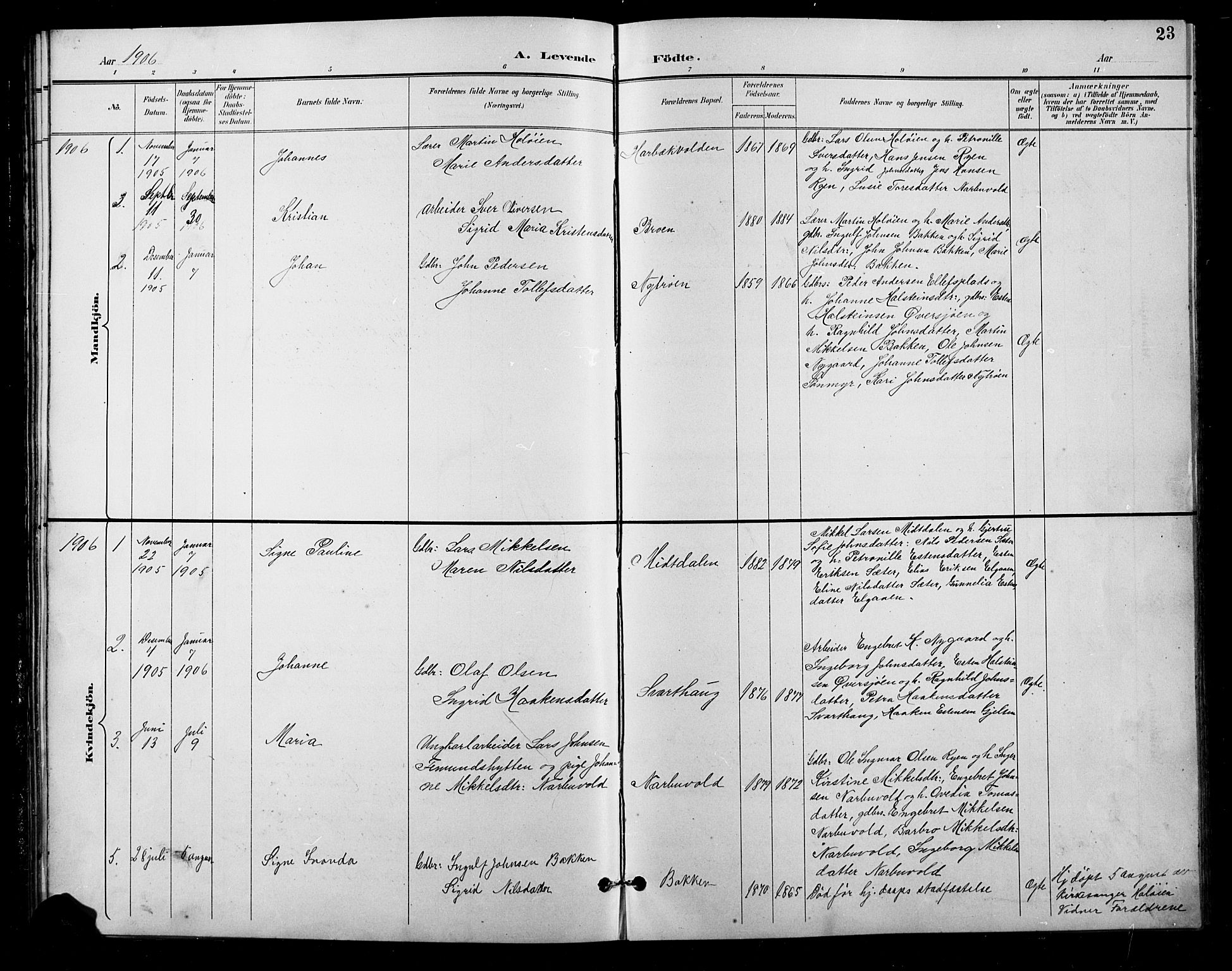 Tolga prestekontor, AV/SAH-PREST-062/L/L0011: Parish register (copy) no. 11, 1894-1925, p. 23