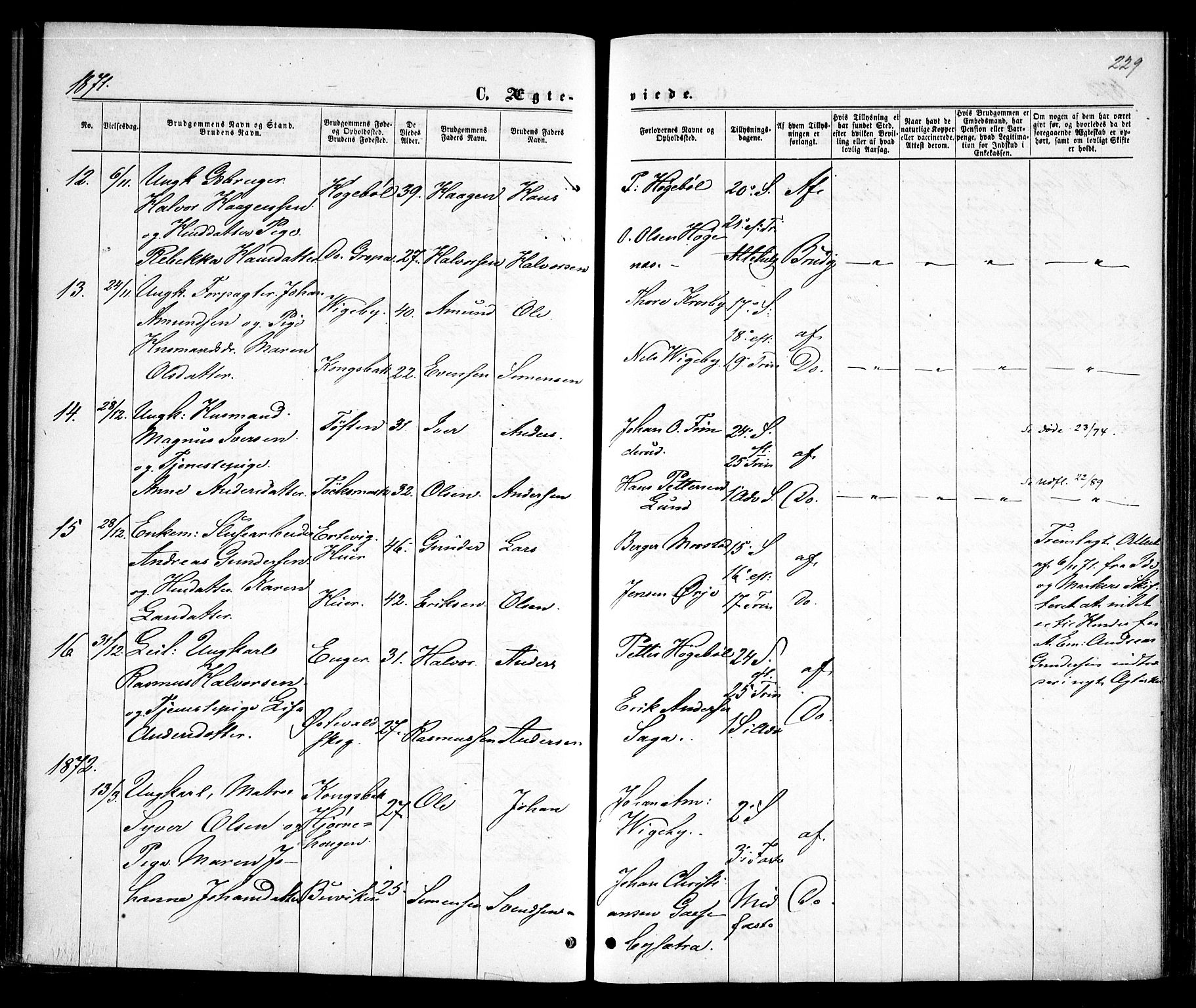Rødenes prestekontor Kirkebøker, SAO/A-2005/F/Fa/L0008: Parish register (official) no. I 8, 1869-1879, p. 229
