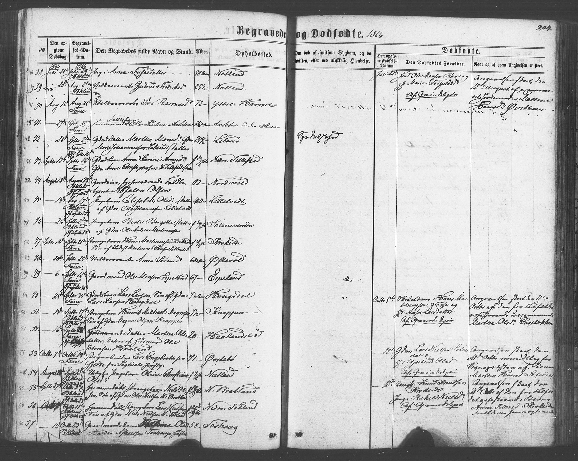 Fana Sokneprestembete, AV/SAB-A-75101/H/Haa/Haaa/L0012: Parish register (official) no. A 12, 1862-1878, p. 204