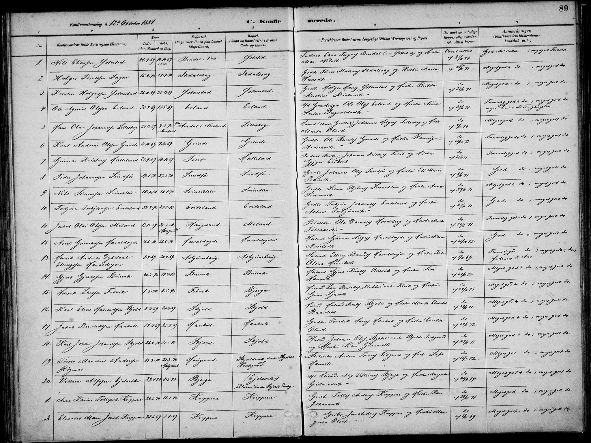 Skjold sokneprestkontor, SAST/A-101847/H/Ha/Haa/L0010: Parish register (official) no. A 10, 1882-1897, p. 89