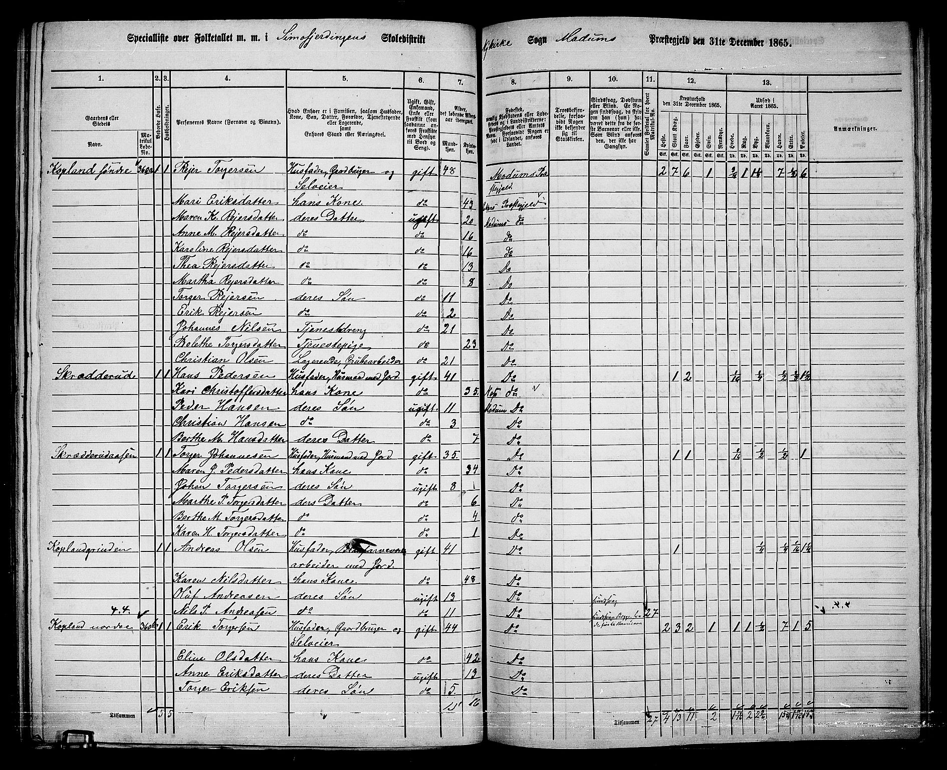 RA, 1865 census for Modum, 1865, p. 256