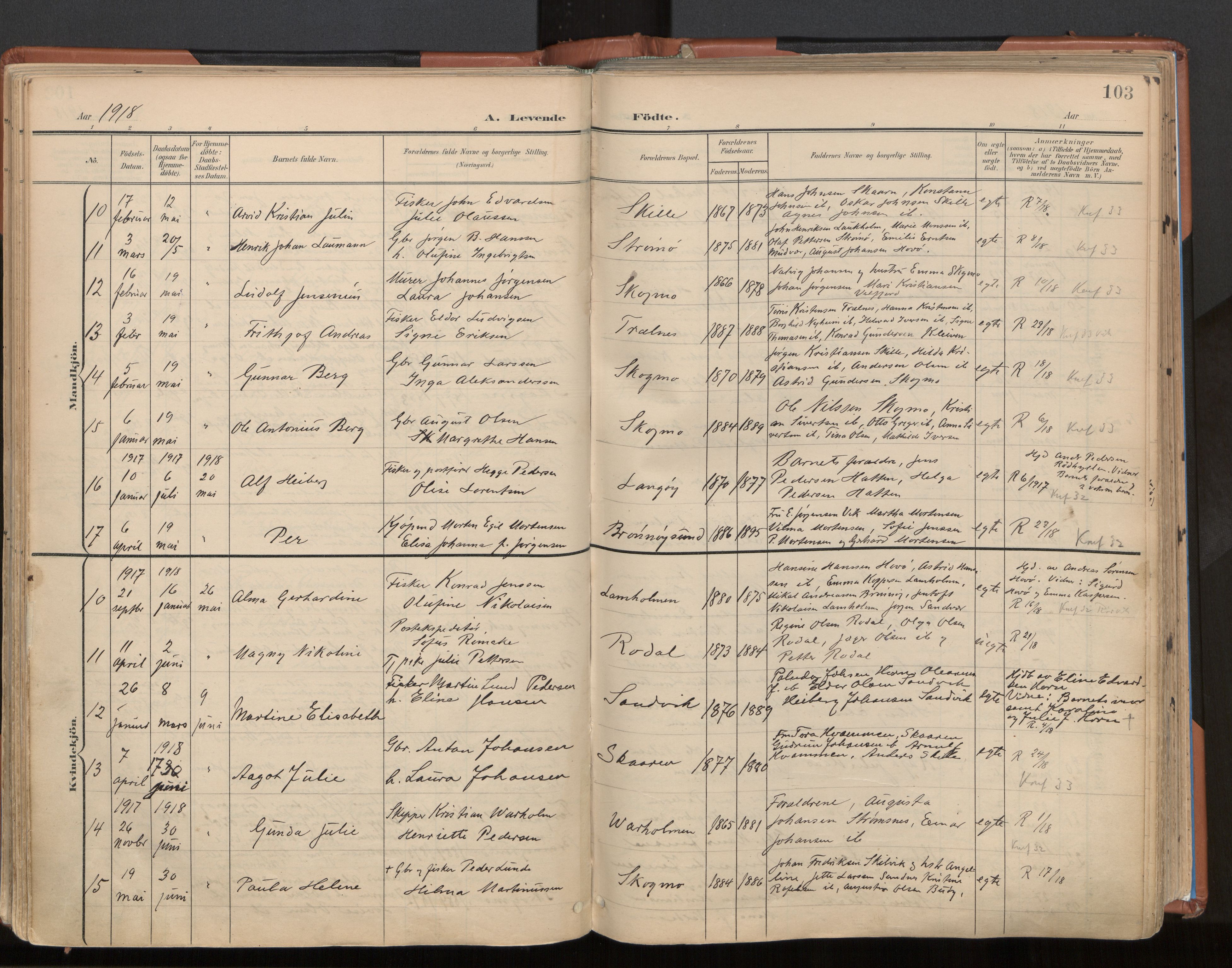 Ministerialprotokoller, klokkerbøker og fødselsregistre - Nordland, AV/SAT-A-1459/813/L0201: Parish register (official) no. 813A11, 1901-1918, p. 103