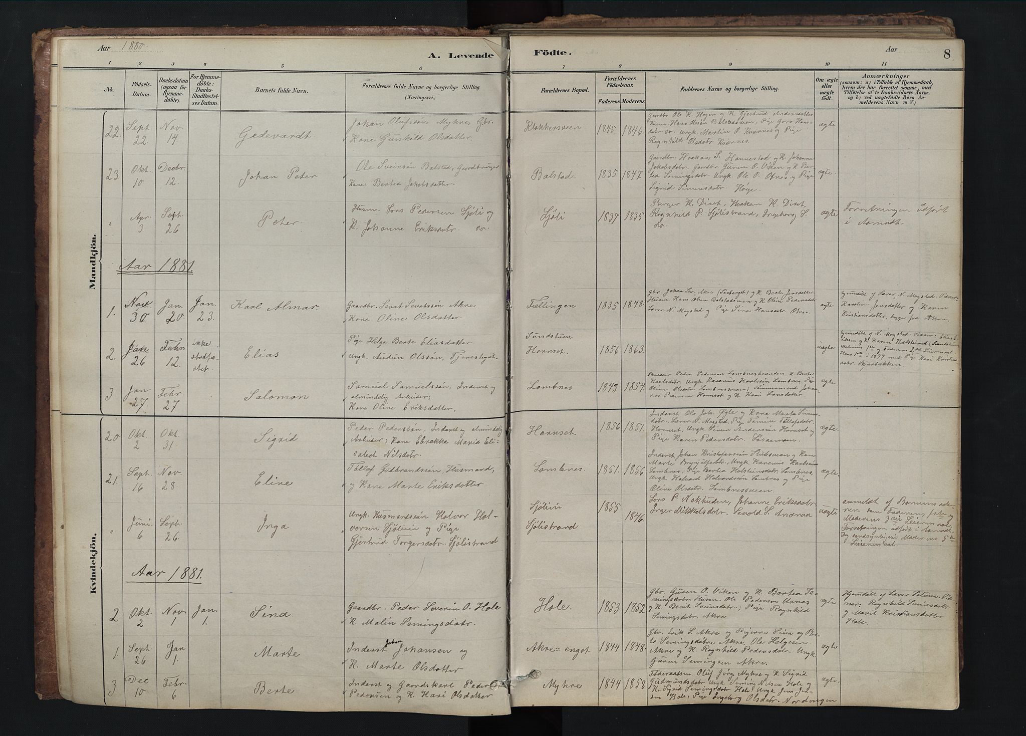 Rendalen prestekontor, SAH/PREST-054/H/Ha/Hab/L0009: Parish register (copy) no. 9, 1879-1902, p. 8