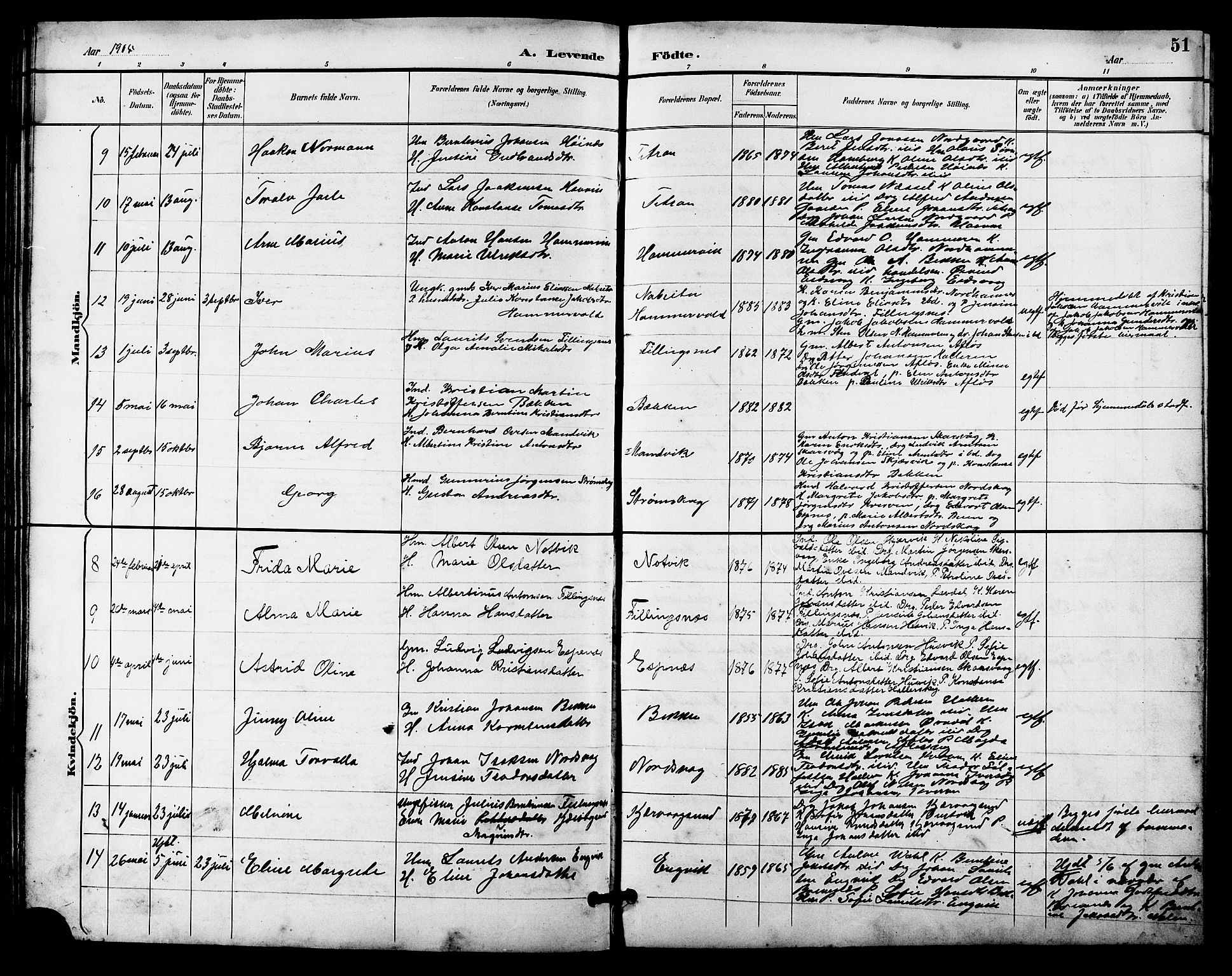 Ministerialprotokoller, klokkerbøker og fødselsregistre - Sør-Trøndelag, SAT/A-1456/641/L0598: Parish register (copy) no. 641C02, 1893-1910, p. 51