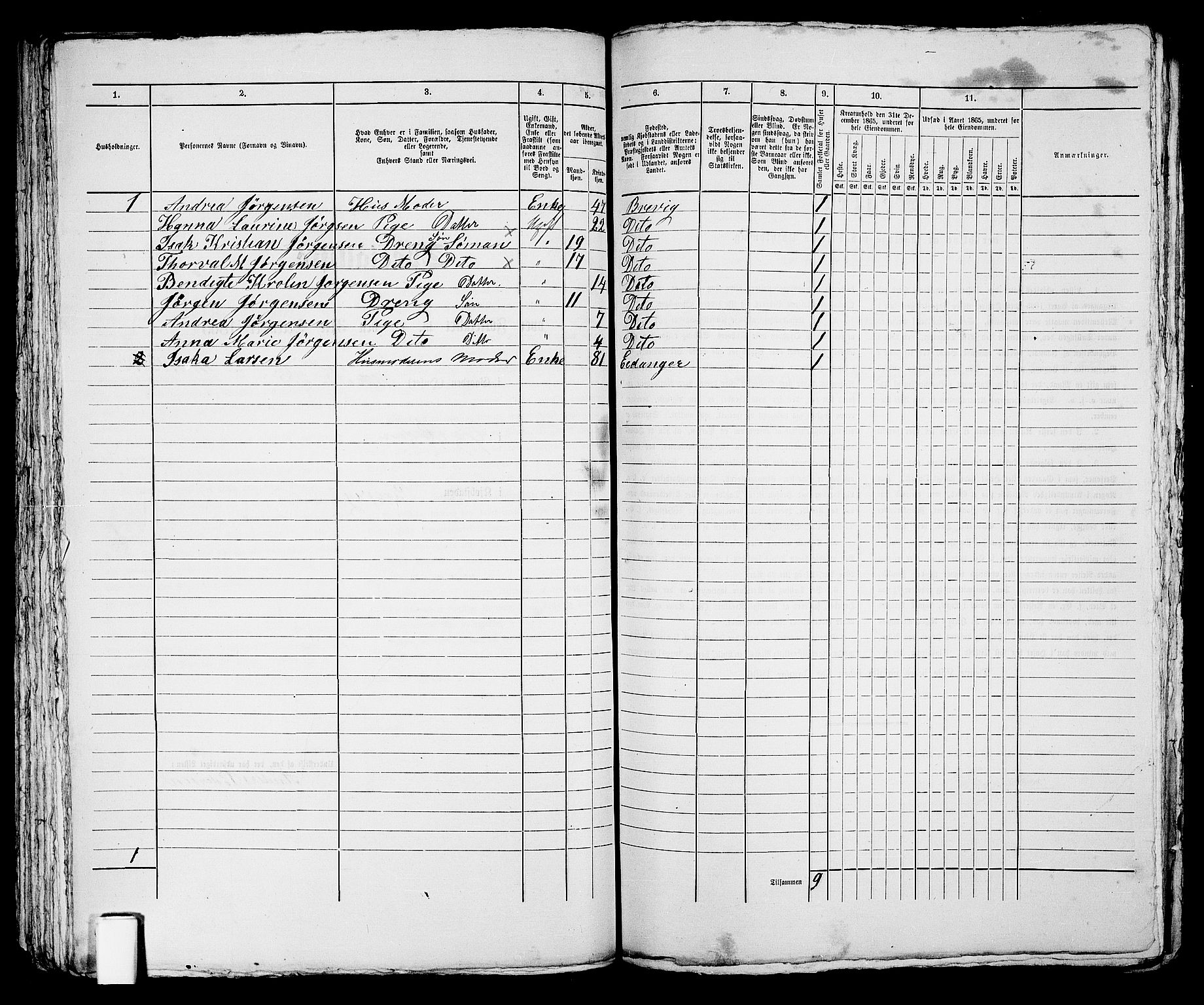 RA, 1865 census for Brevik, 1865, p. 125