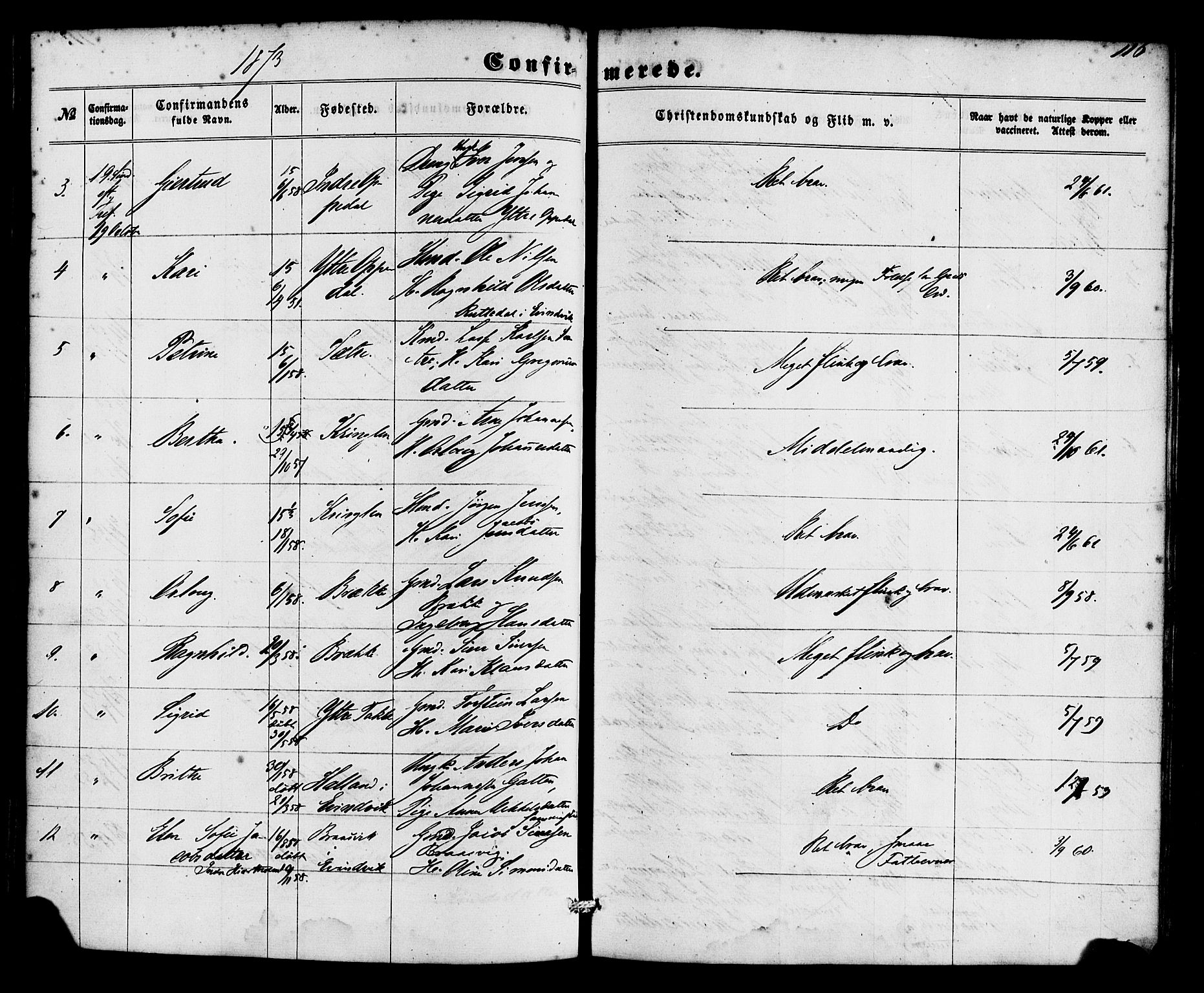Gulen sokneprestembete, SAB/A-80201/H/Haa/Haac/L0001: Parish register (official) no. C 1, 1859-1881, p. 116