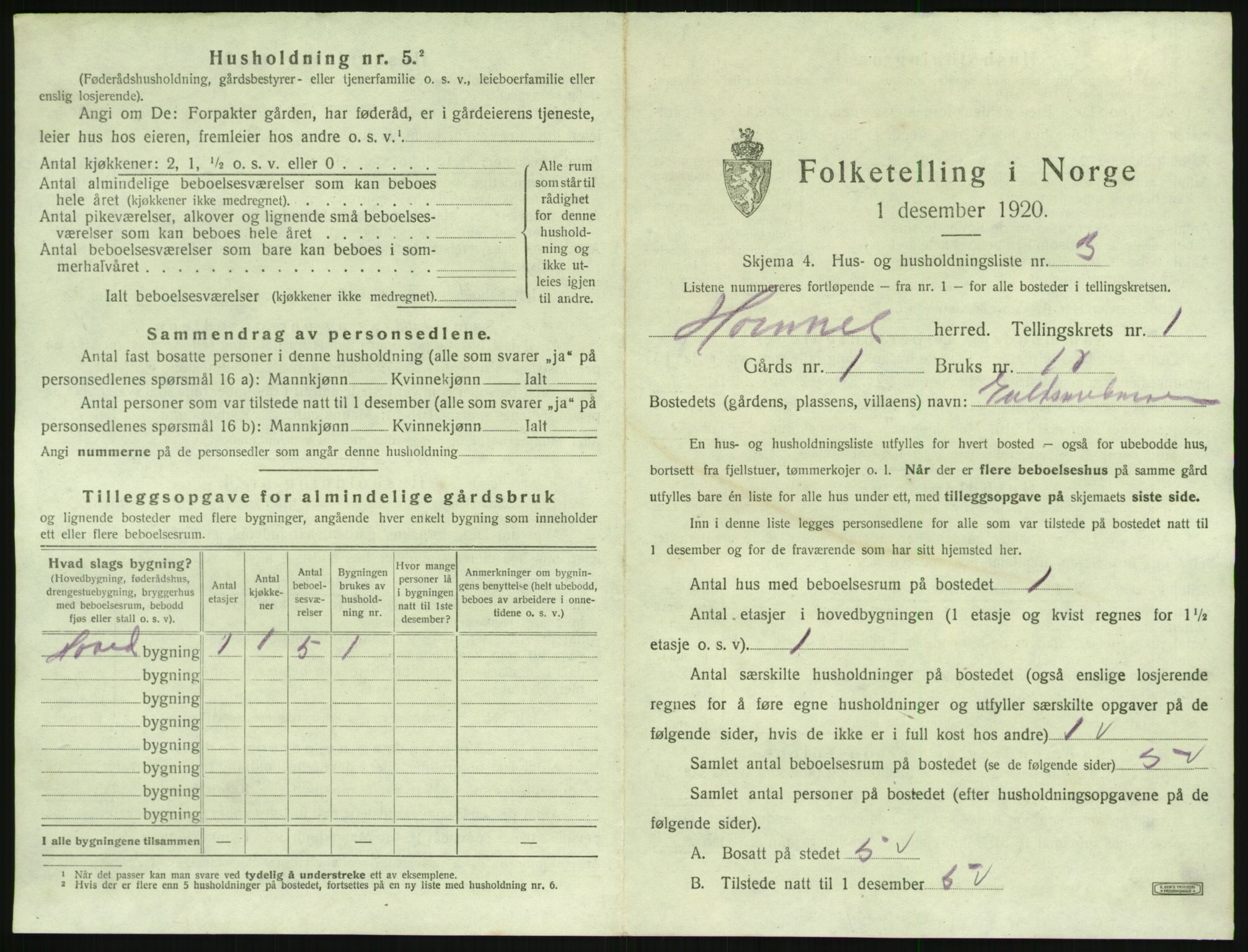 SAK, 1920 census for Hornnes, 1920, p. 61