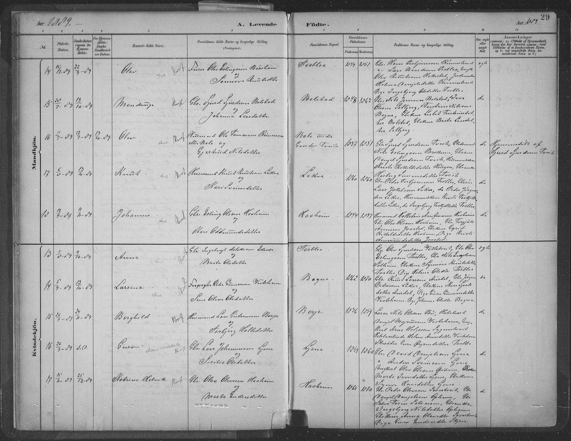 Ulvik sokneprestembete, AV/SAB-A-78801/H/Hab: Parish register (copy) no. A 3, 1883-1908, p. 29