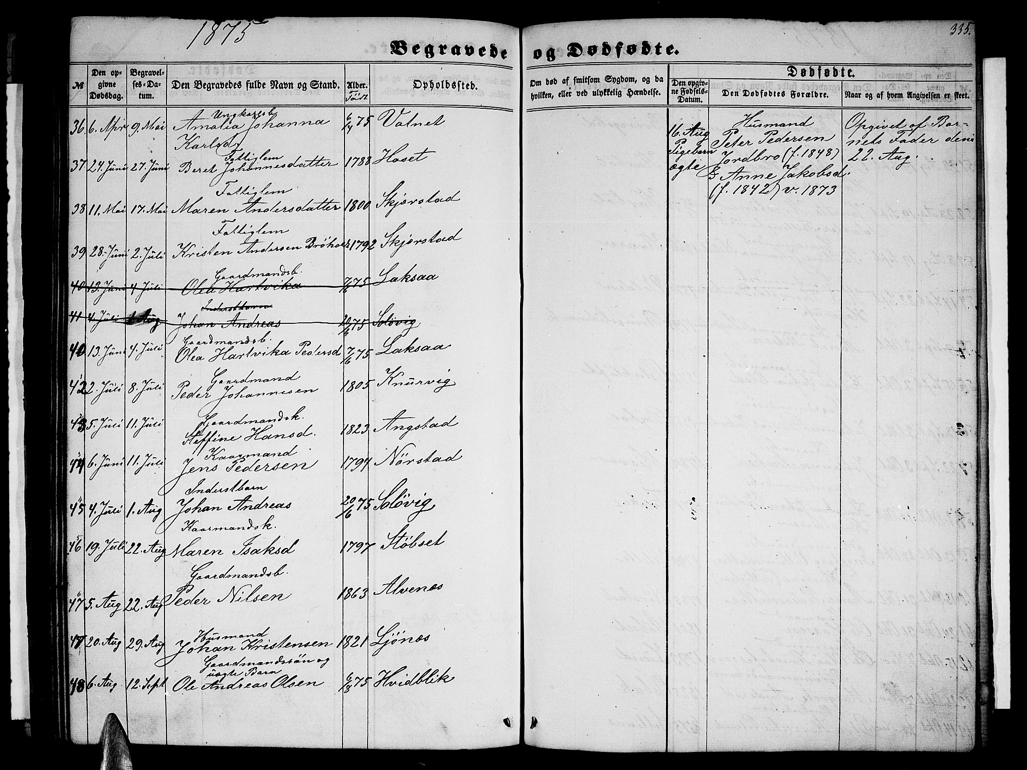 Ministerialprotokoller, klokkerbøker og fødselsregistre - Nordland, AV/SAT-A-1459/852/L0753: Parish register (copy) no. 852C04, 1856-1877, p. 335