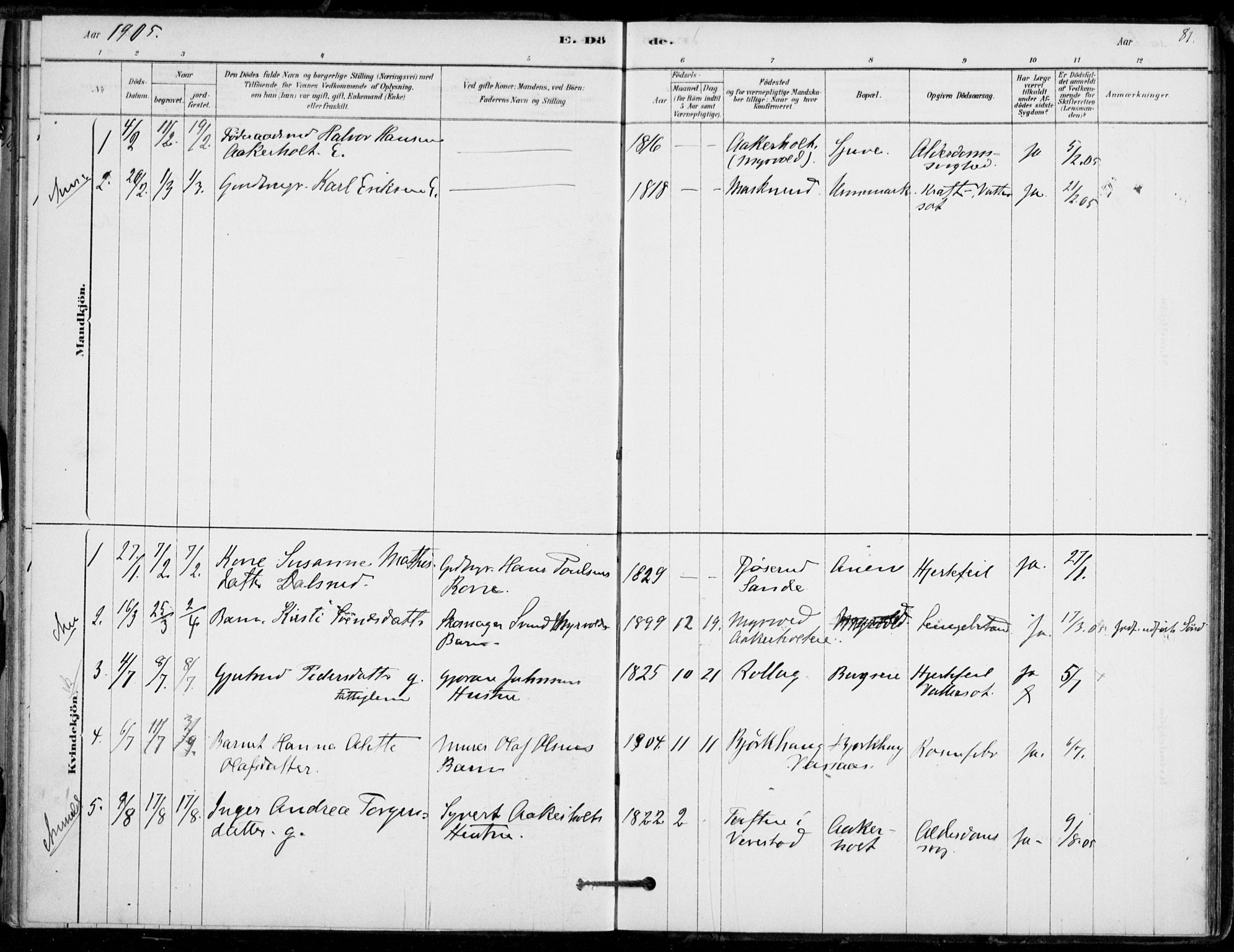 Hof kirkebøker, AV/SAKO-A-64/F/Fb/L0001: Parish register (official) no. II 1, 1878-1907, p. 81