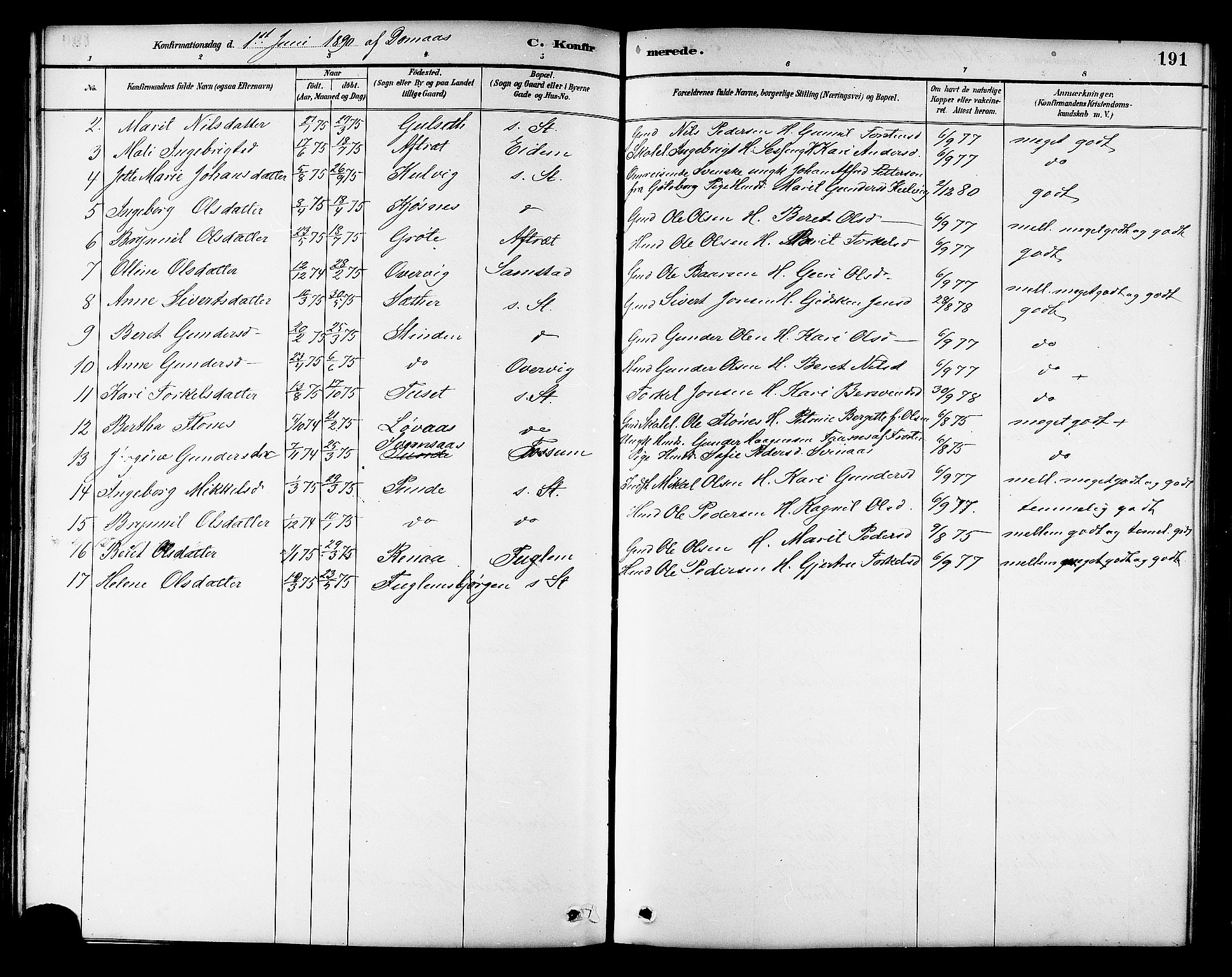 Ministerialprotokoller, klokkerbøker og fødselsregistre - Sør-Trøndelag, AV/SAT-A-1456/695/L1157: Parish register (copy) no. 695C08, 1889-1913, p. 191