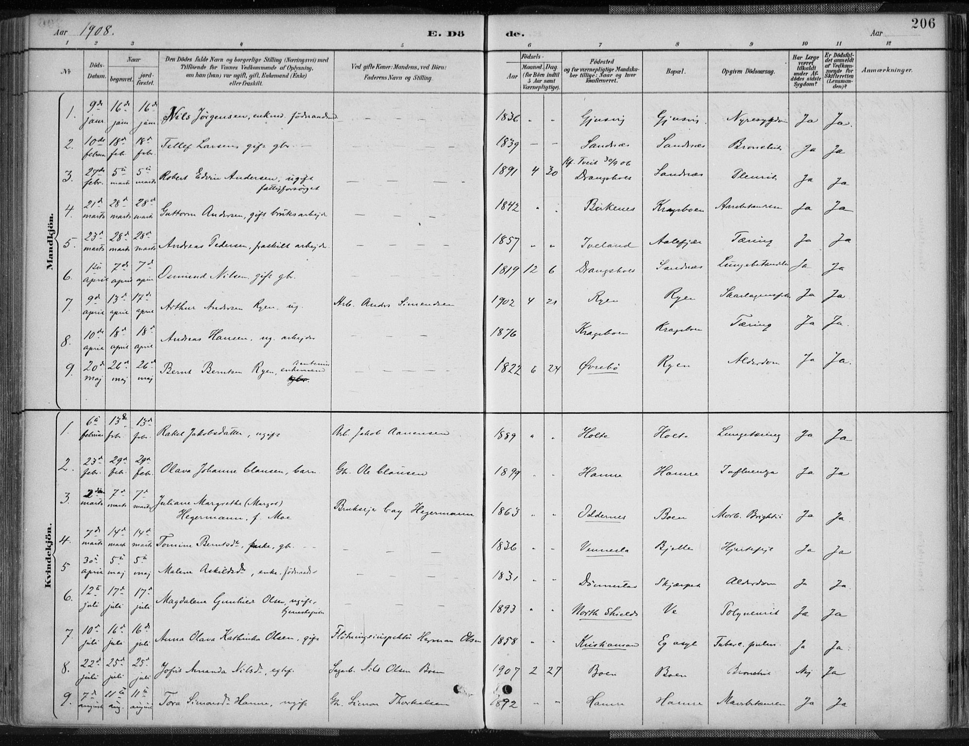 Tveit sokneprestkontor, AV/SAK-1111-0043/F/Fa/L0007: Parish register (official) no. A 7, 1887-1908, p. 206