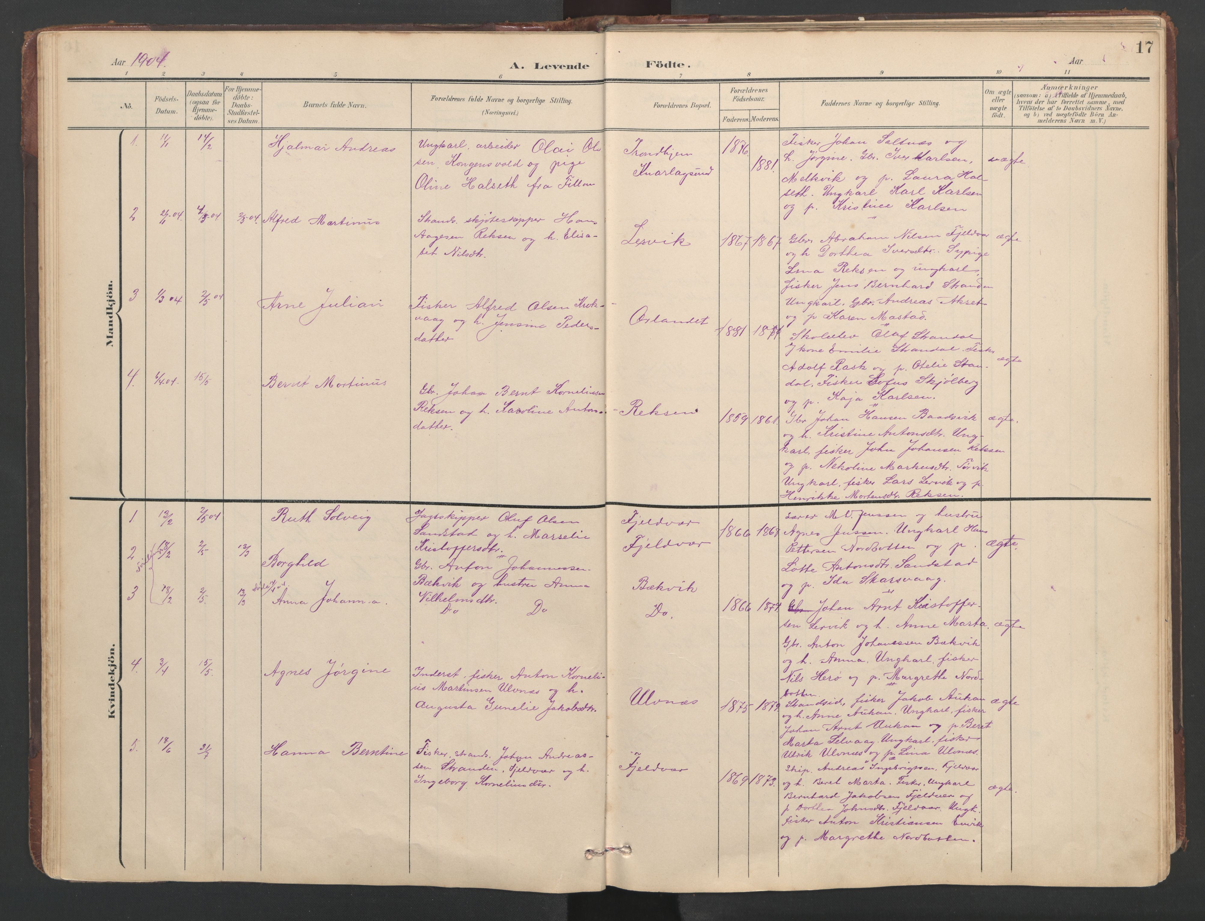 Ministerialprotokoller, klokkerbøker og fødselsregistre - Sør-Trøndelag, SAT/A-1456/638/L0571: Parish register (copy) no. 638C03, 1901-1930, p. 17