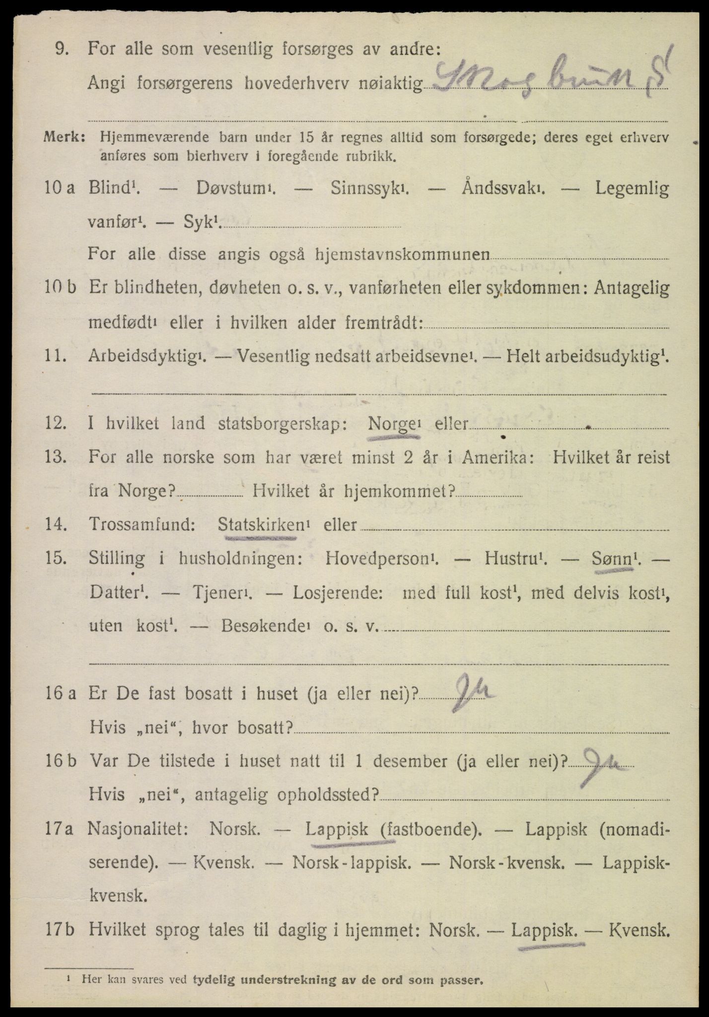 SAT, 1920 census for Hamarøy, 1920, p. 2315