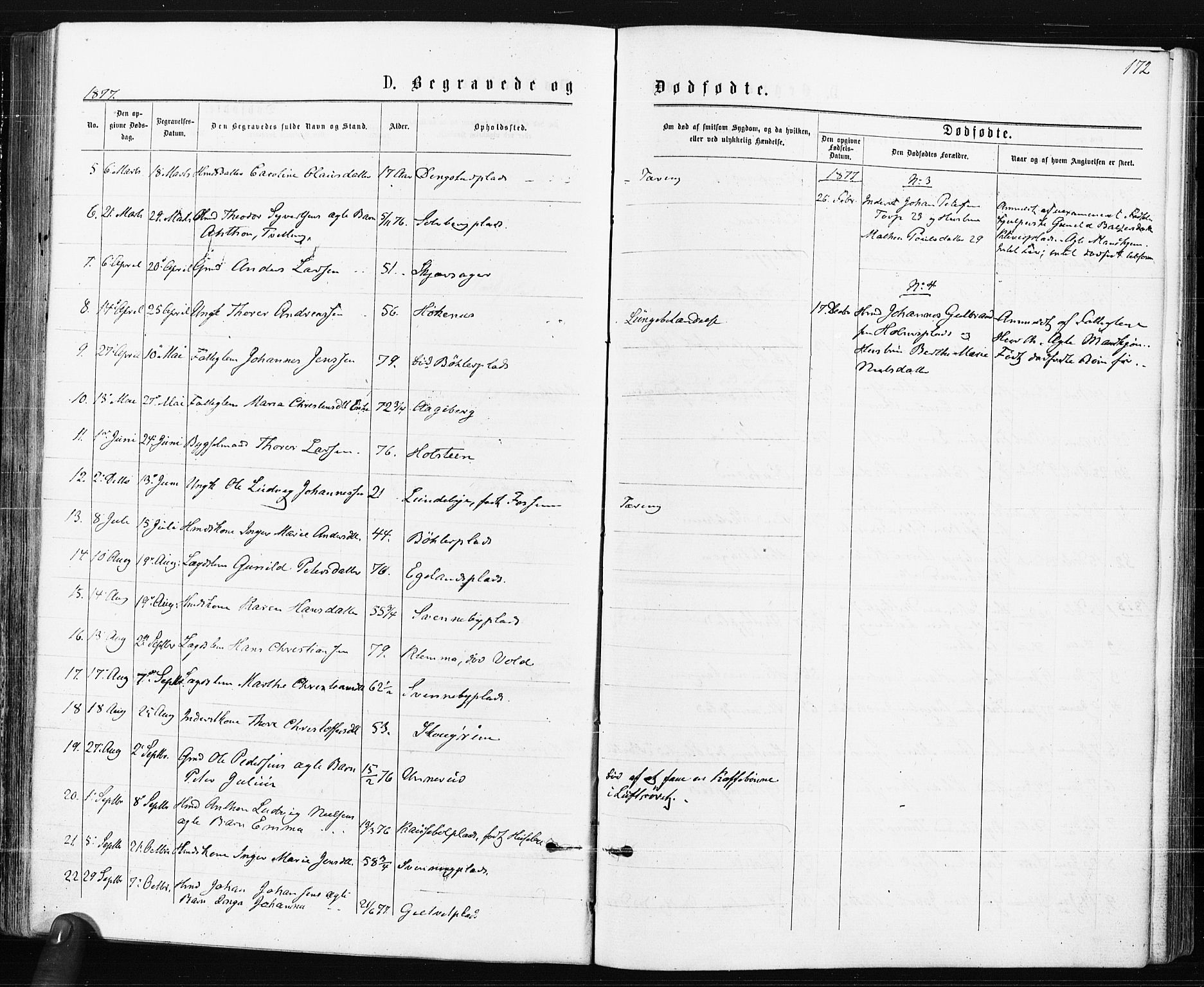 Spydeberg prestekontor Kirkebøker, SAO/A-10924/F/Fa/L0007: Parish register (official) no. I 7, 1875-1885, p. 172